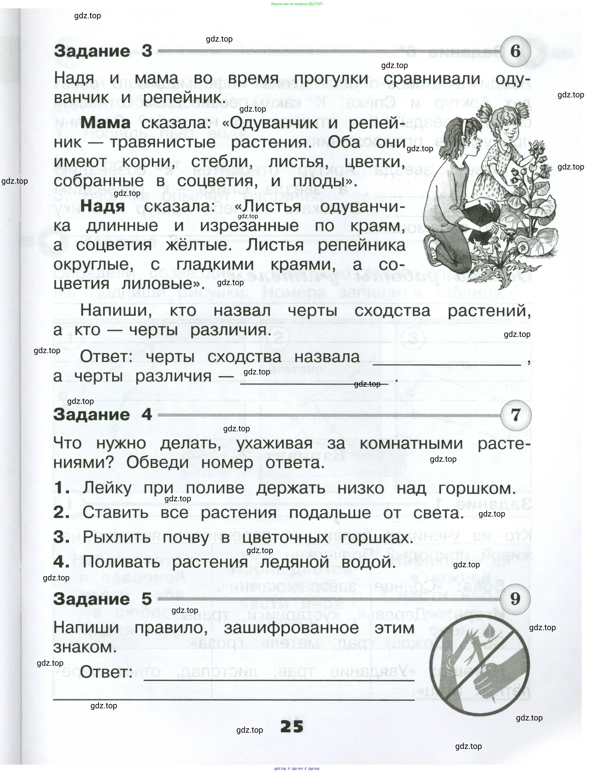 Окружающий мир, 2 класс Проверочные работы, авторы: Плешаков Андрей Анатольевич, Плешаков С А, издательство Просвещение, Москва, 2023, белого цвета, страница 25