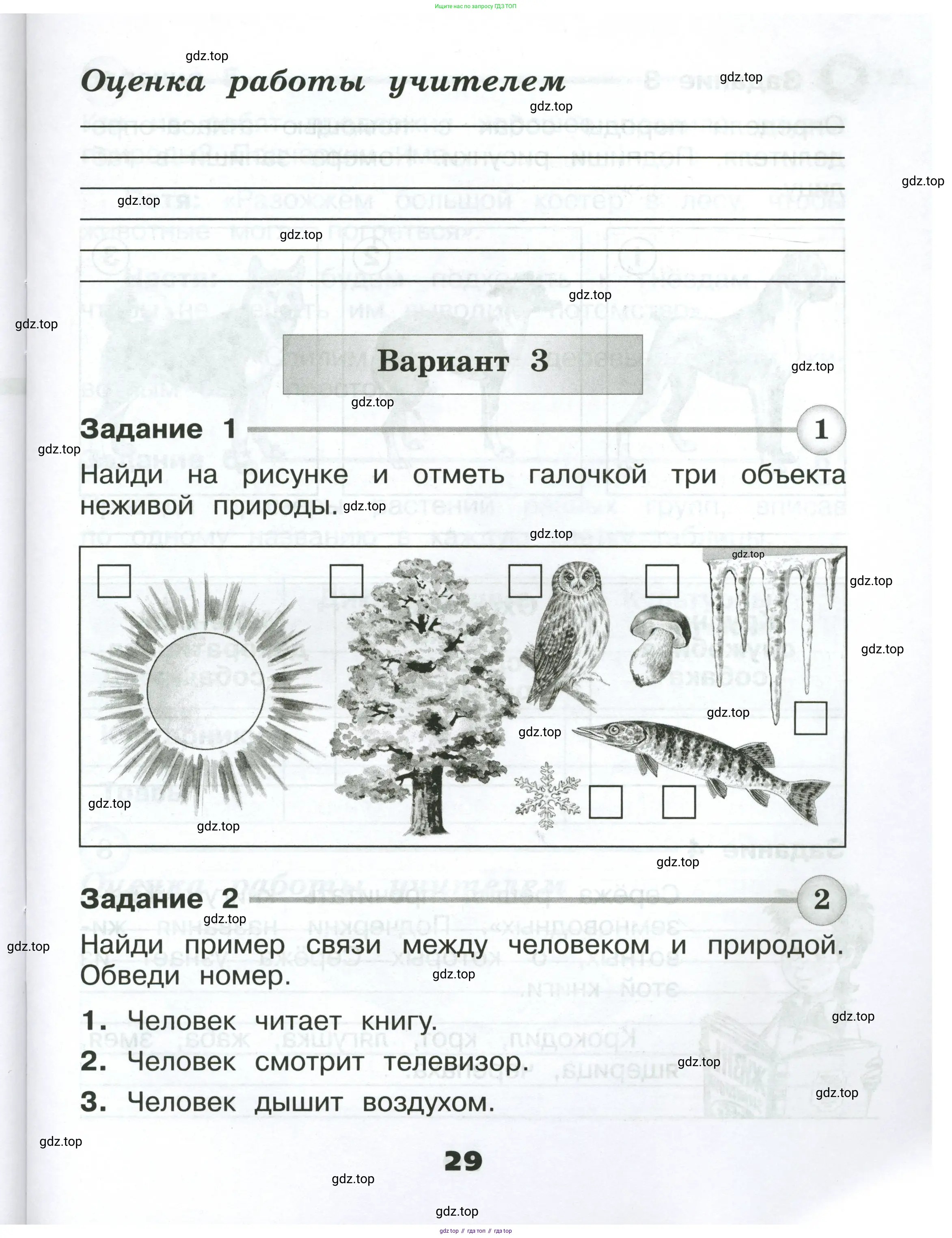 Окружающий мир, 2 класс Проверочные работы, авторы: Плешаков Андрей Анатольевич, Плешаков С А, издательство Просвещение, Москва, 2023, белого цвета, страница 29