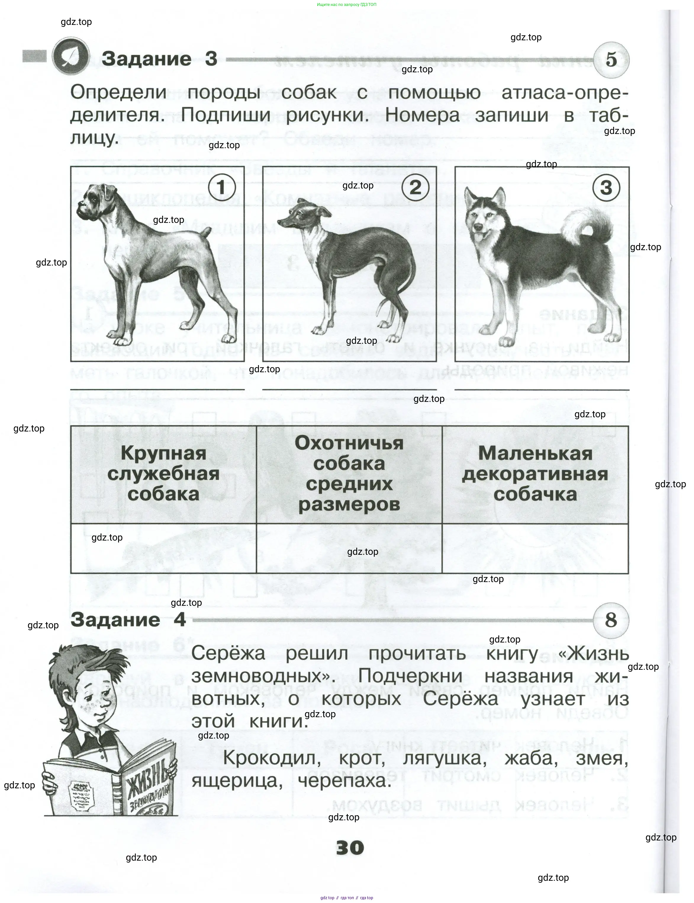 Окружающий мир, 2 класс Проверочные работы, авторы: Плешаков Андрей Анатольевич, Плешаков С А, издательство Просвещение, Москва, 2023, белого цвета, страница 30