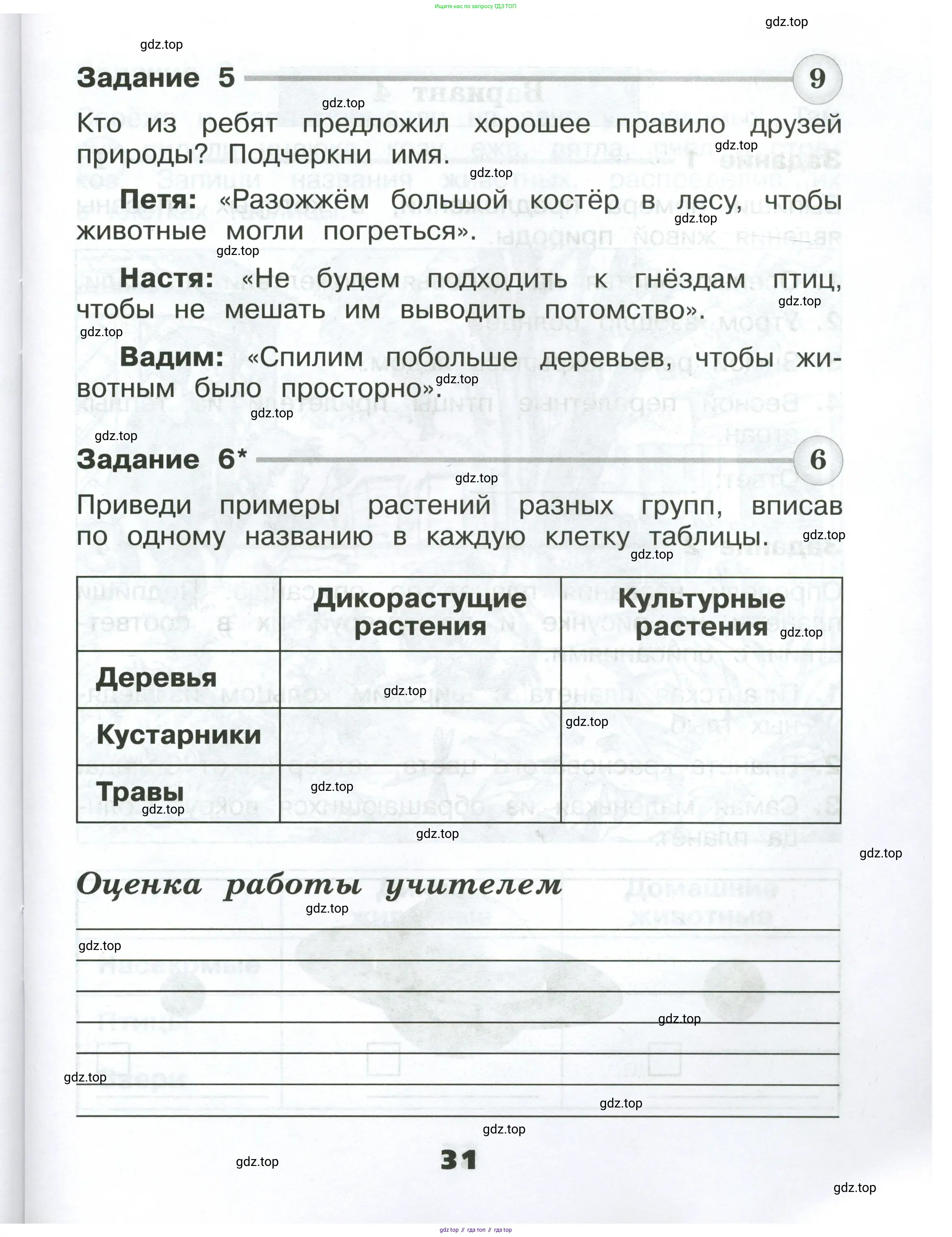 Окружающий мир, 2 класс Проверочные работы, авторы: Плешаков Андрей Анатольевич, Плешаков С А, издательство Просвещение, Москва, 2023, белого цвета, страница 31