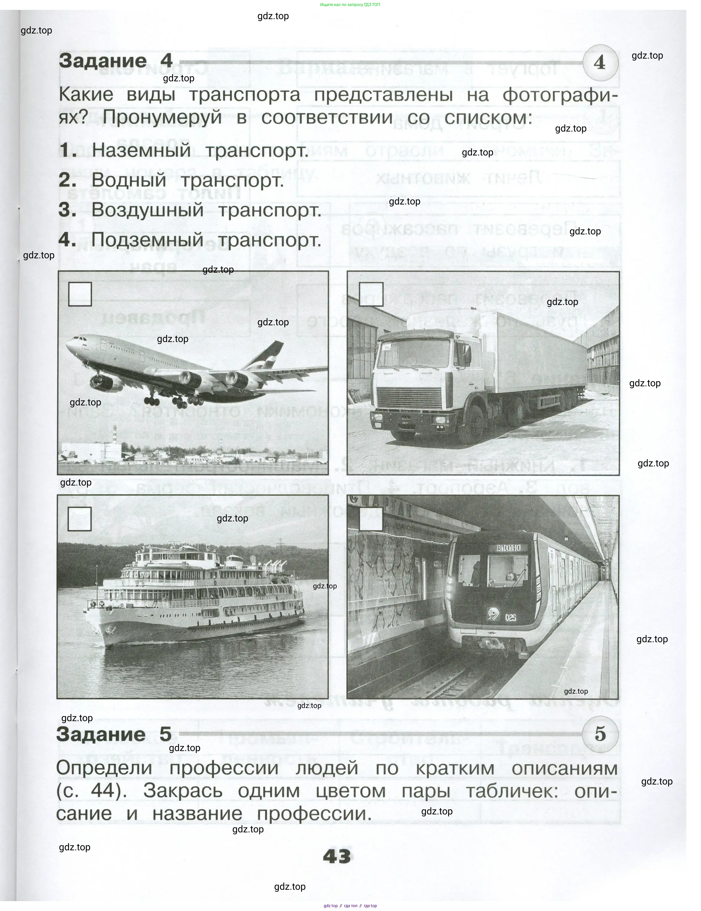 Окружающий мир, 2 класс Проверочные работы, авторы: Плешаков Андрей Анатольевич, Плешаков С А, издательство Просвещение, Москва, 2023, белого цвета, страница 43
