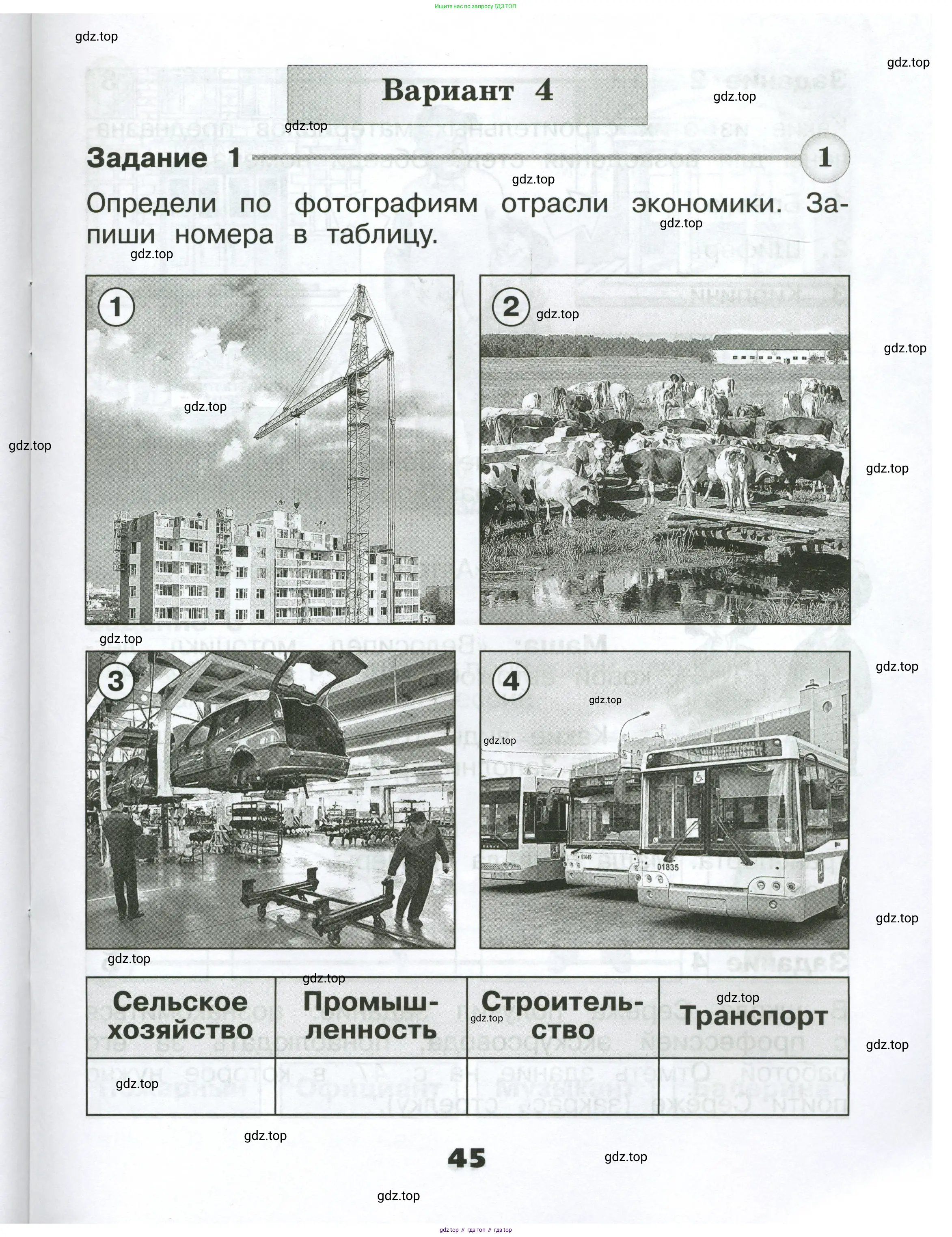 Окружающий мир, 2 класс Проверочные работы, авторы: Плешаков Андрей Анатольевич, Плешаков С А, издательство Просвещение, Москва, 2023, белого цвета, страница 45