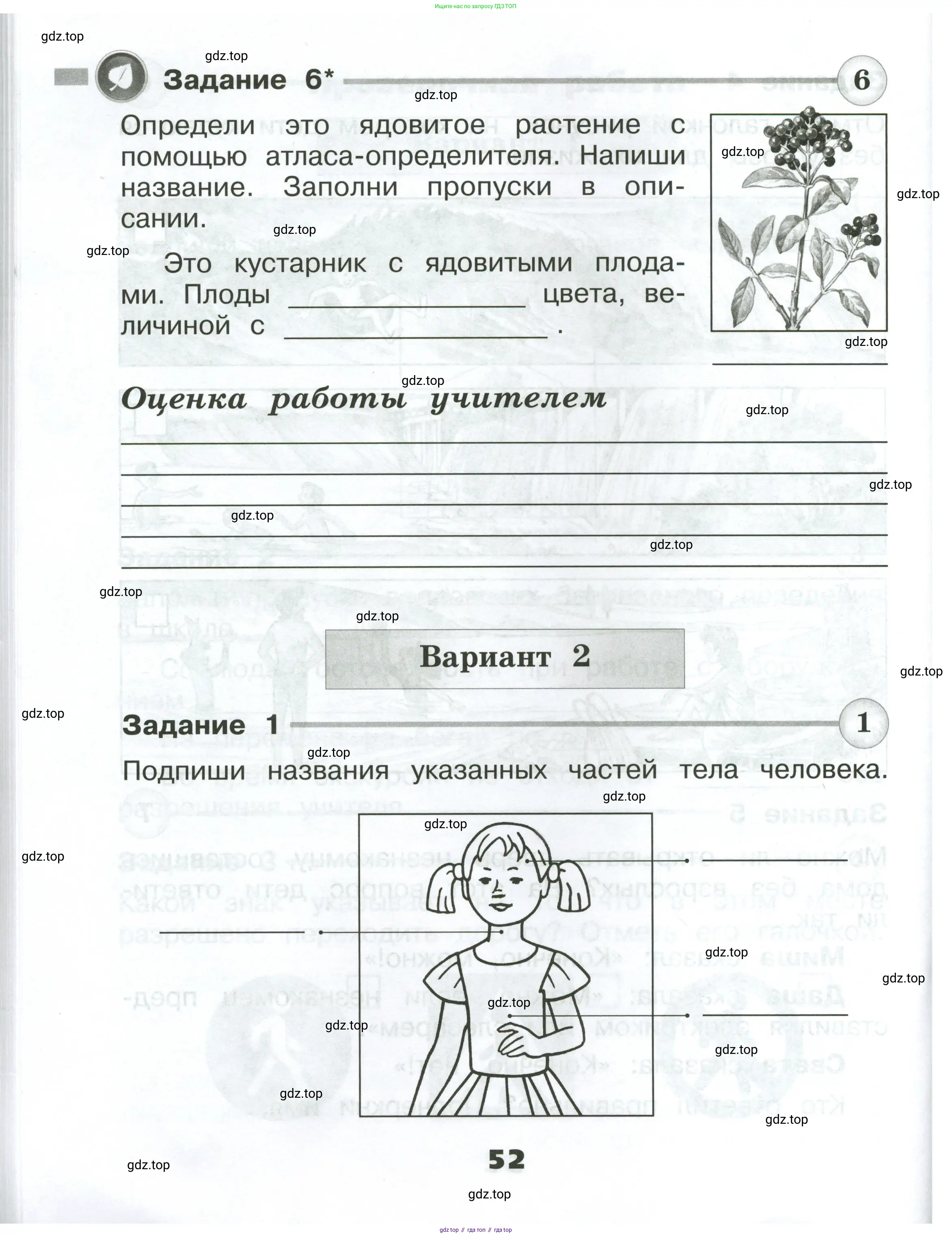 Окружающий мир, 2 класс Проверочные работы, авторы: Плешаков Андрей Анатольевич, Плешаков С А, издательство Просвещение, Москва, 2023, белого цвета, страница 52