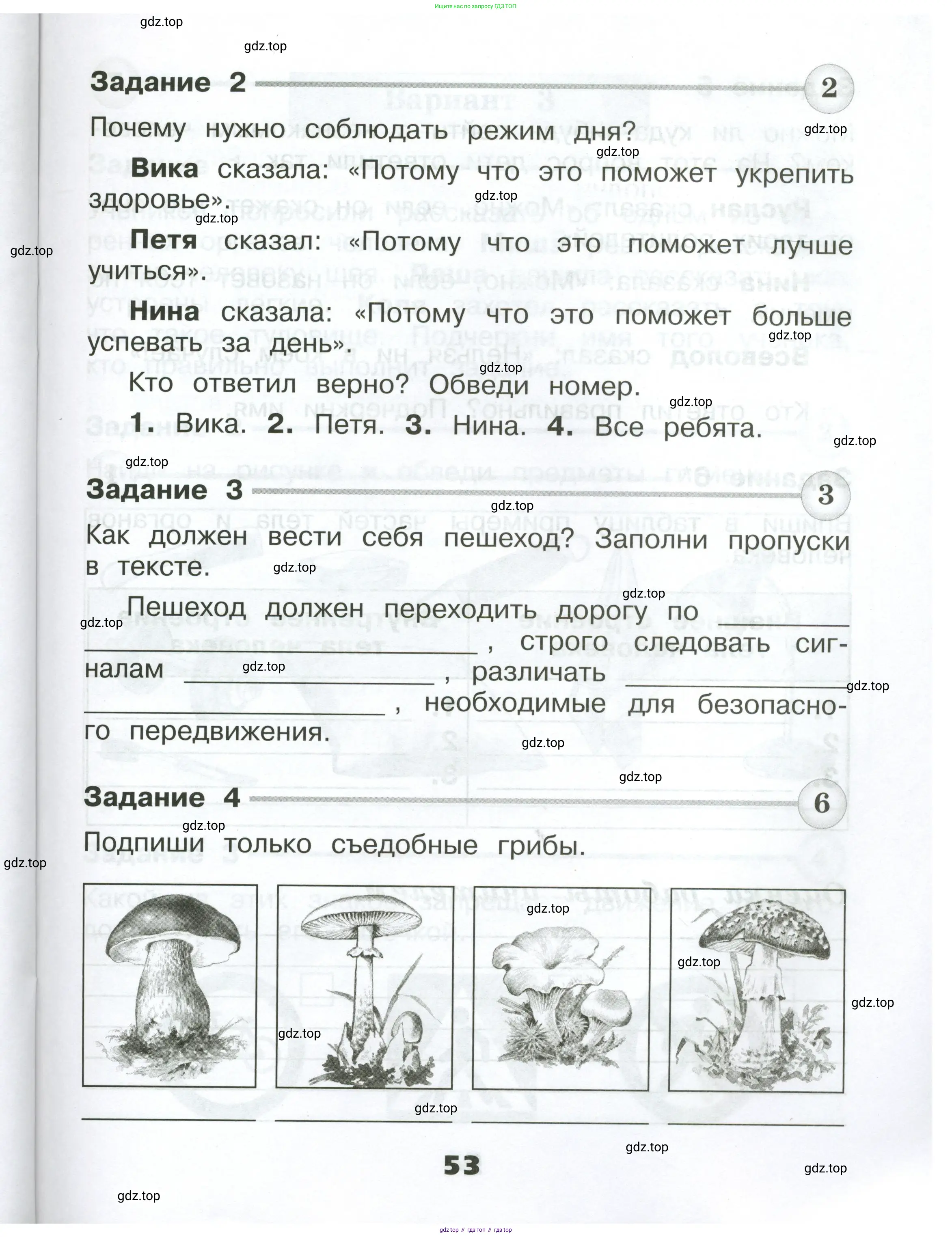 Окружающий мир, 2 класс Проверочные работы, авторы: Плешаков Андрей Анатольевич, Плешаков С А, издательство Просвещение, Москва, 2023, белого цвета, страница 53