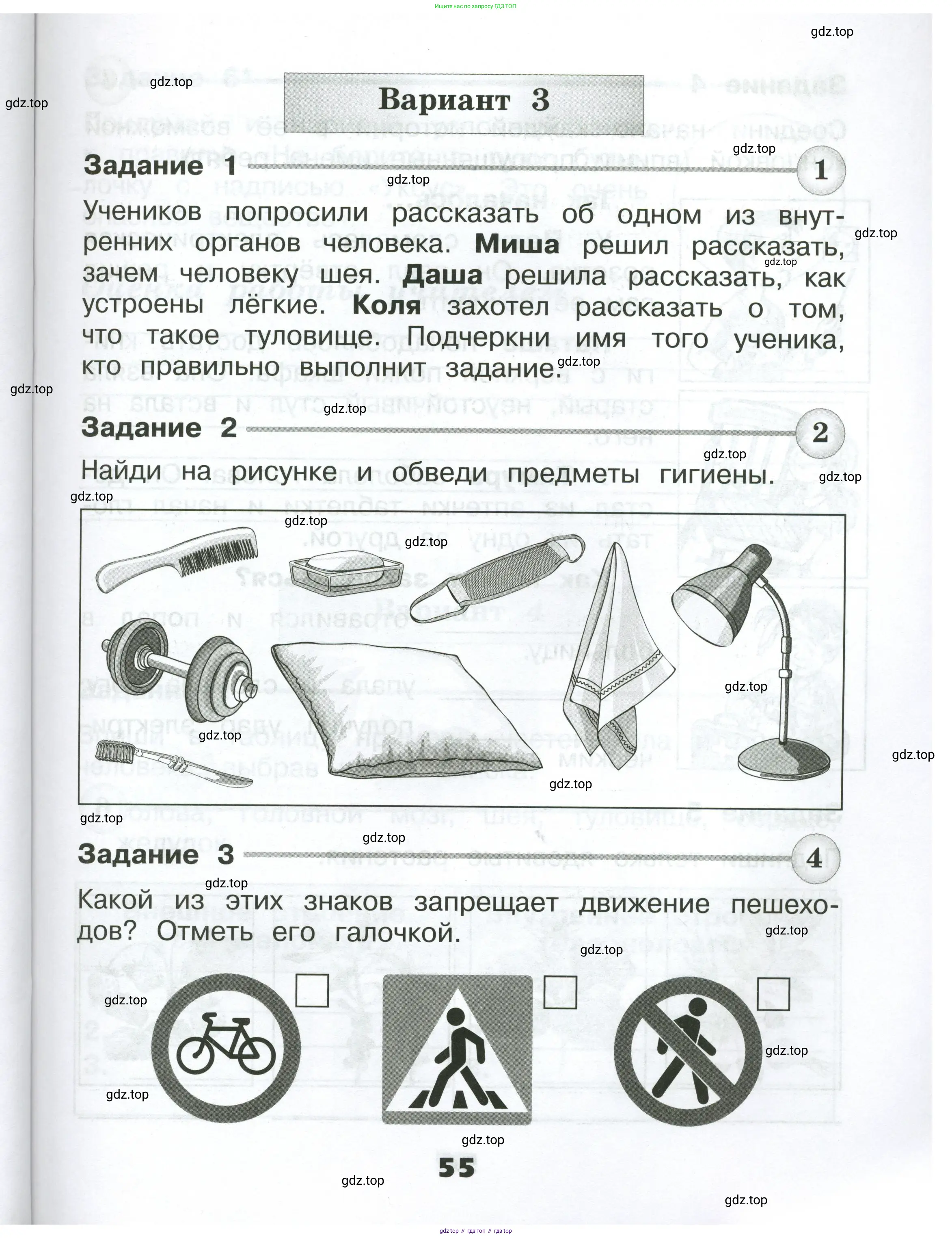 Окружающий мир, 2 класс Проверочные работы, авторы: Плешаков Андрей Анатольевич, Плешаков С А, издательство Просвещение, Москва, 2023, белого цвета, страница 55