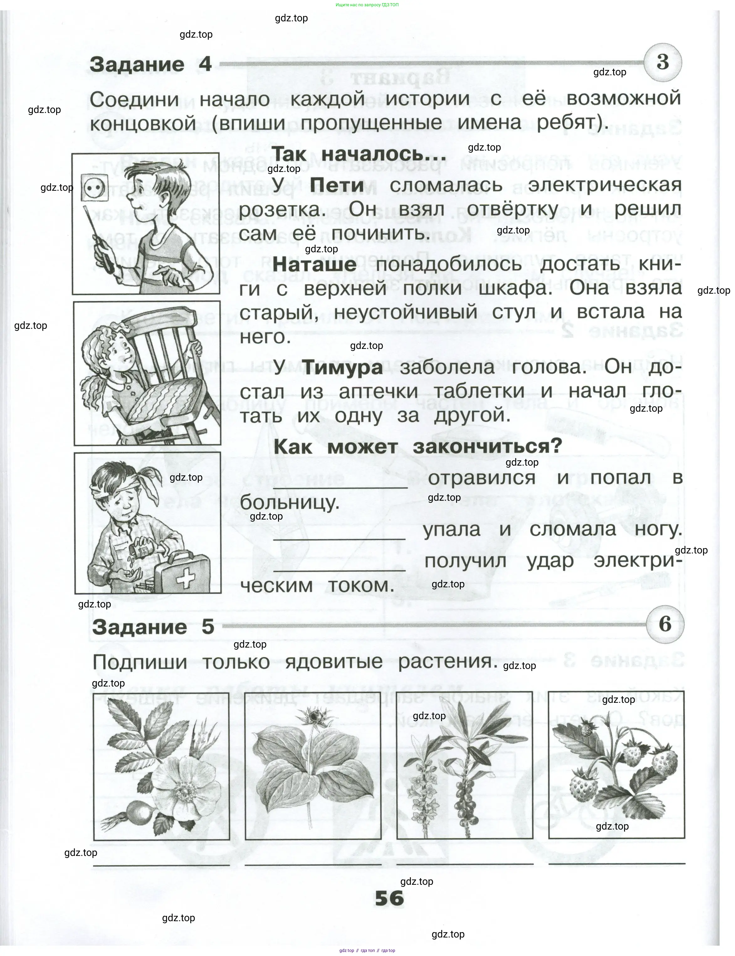 Окружающий мир, 2 класс Проверочные работы, авторы: Плешаков Андрей Анатольевич, Плешаков С А, издательство Просвещение, Москва, 2023, белого цвета, страница 56