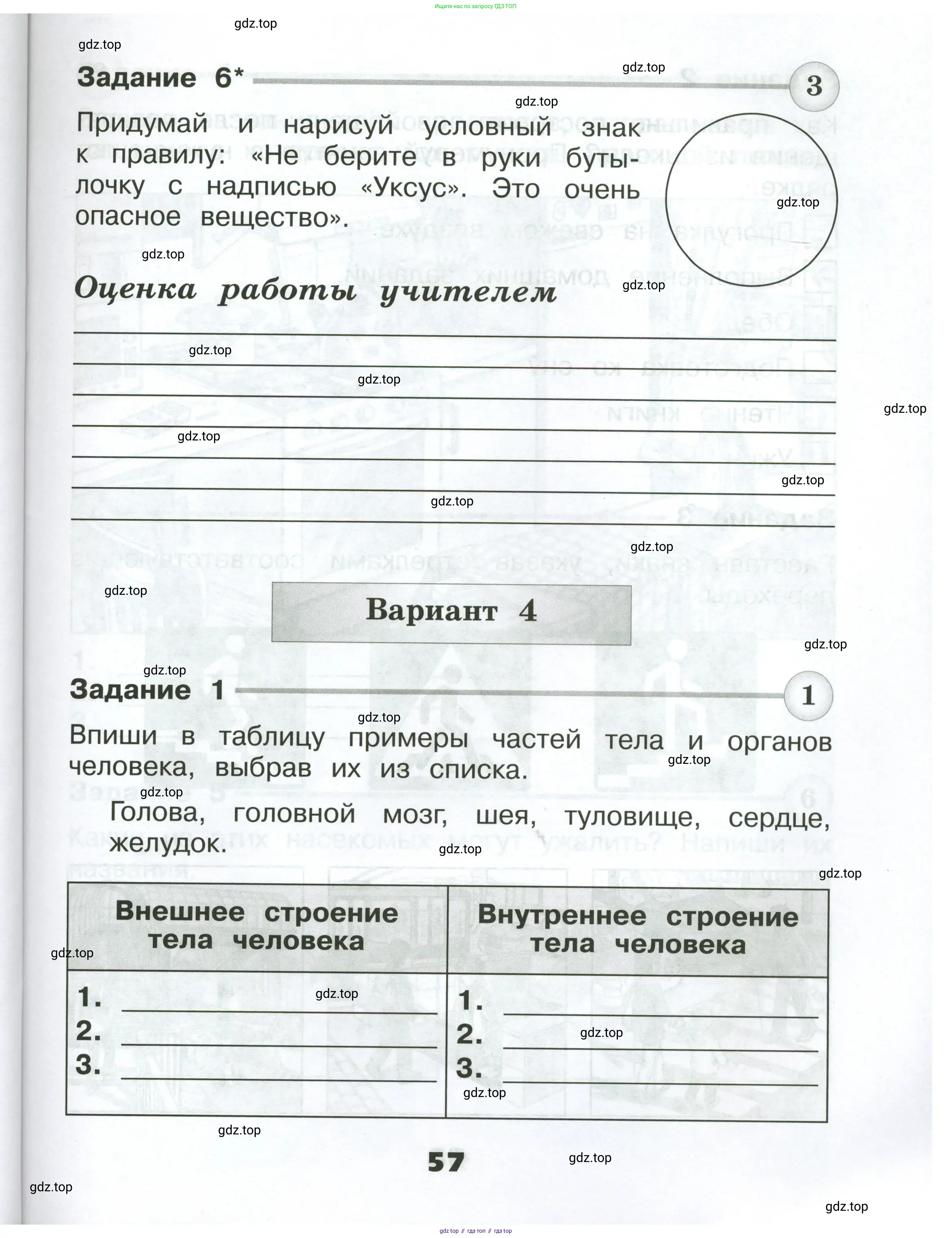 Окружающий мир, 2 класс Проверочные работы, авторы: Плешаков Андрей Анатольевич, Плешаков С А, издательство Просвещение, Москва, 2023, белого цвета, страница 57