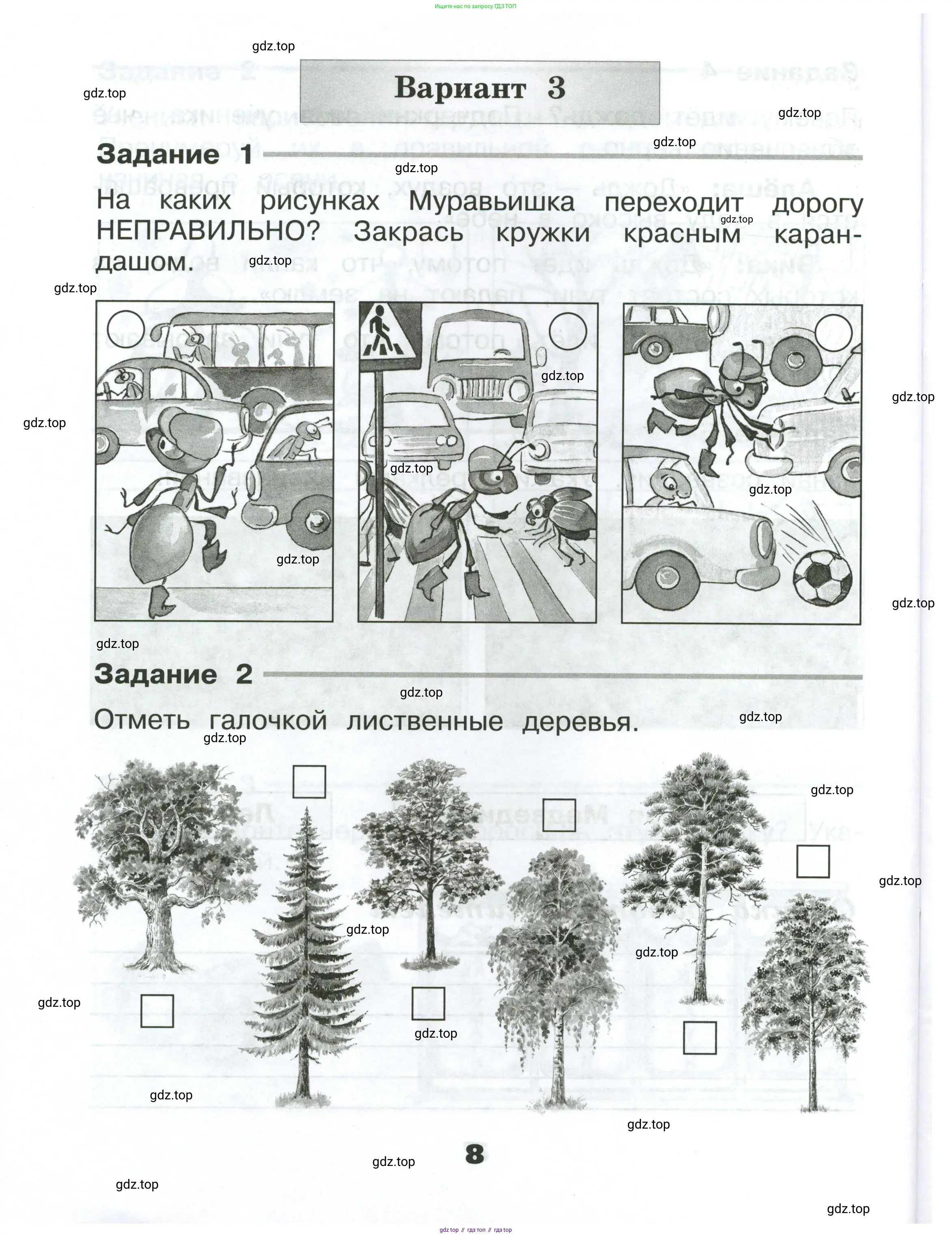 Окружающий мир, 2 класс Проверочные работы, авторы: Плешаков Андрей Анатольевич, Плешаков С А, издательство Просвещение, Москва, 2023, белого цвета, страница 8