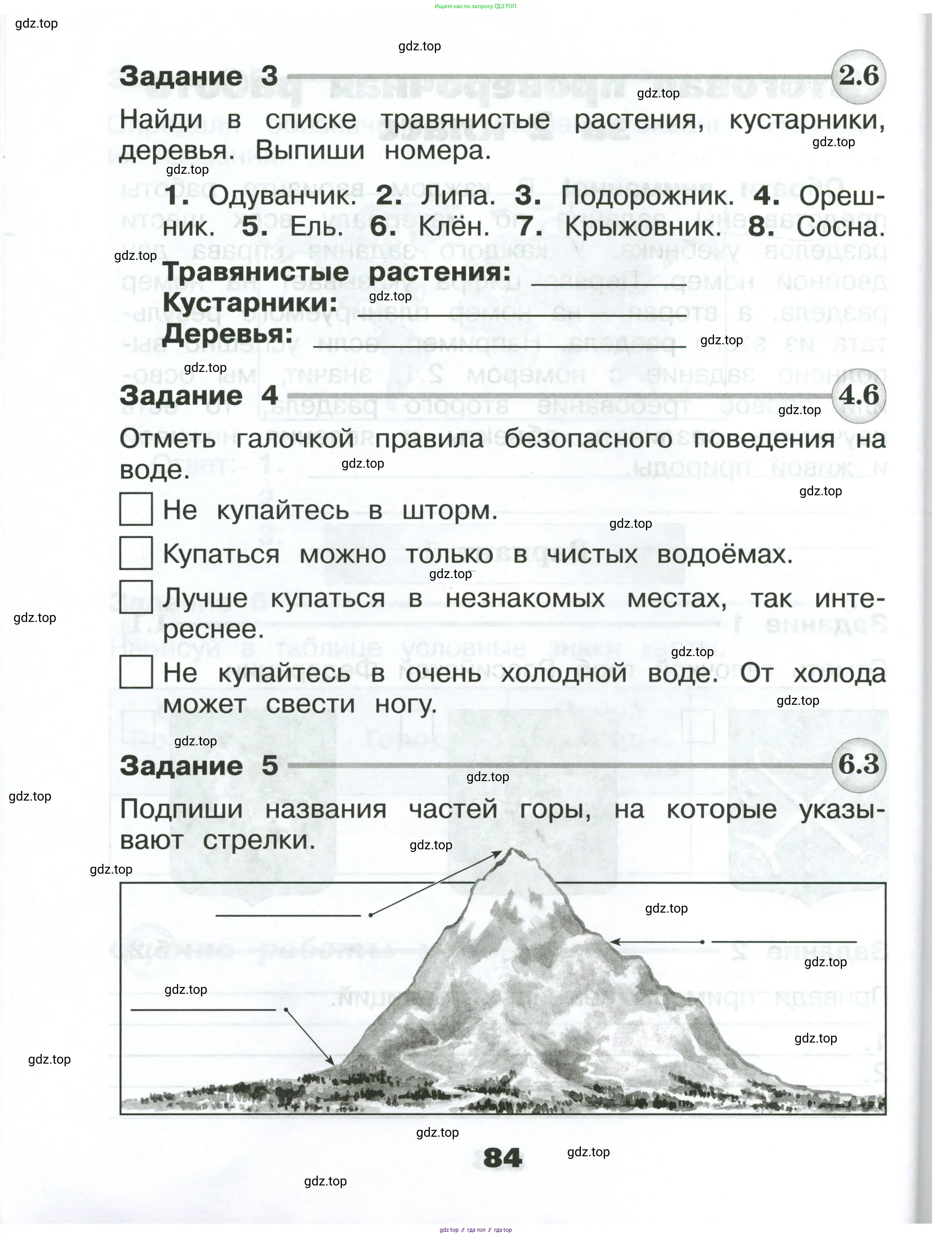 Окружающий мир, 2 класс Проверочные работы, авторы: Плешаков Андрей Анатольевич, Плешаков С А, издательство Просвещение, Москва, 2023, белого цвета, страница 84