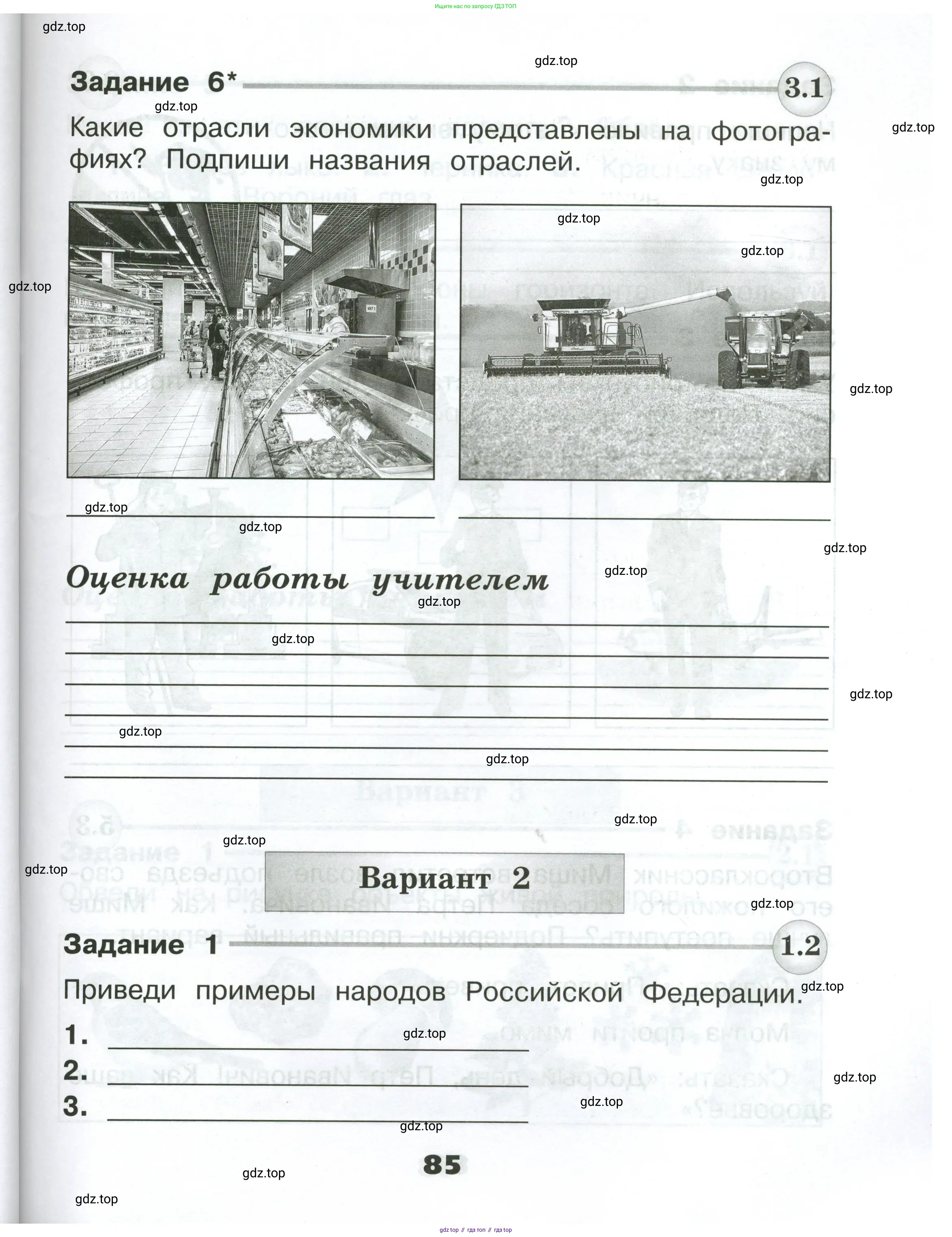 Окружающий мир, 2 класс Проверочные работы, авторы: Плешаков Андрей Анатольевич, Плешаков С А, издательство Просвещение, Москва, 2023, белого цвета, страница 85