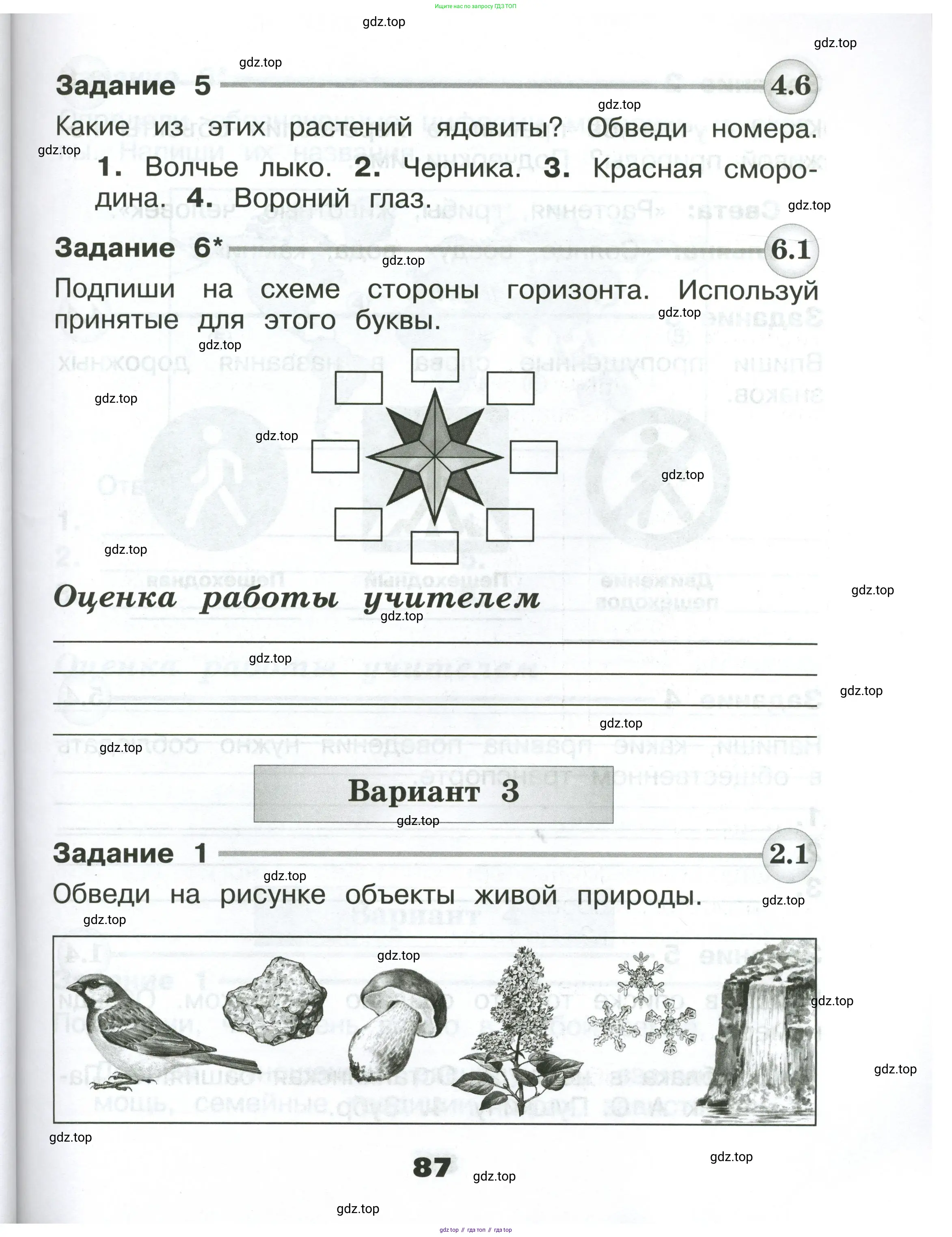 Окружающий мир, 2 класс Проверочные работы, авторы: Плешаков Андрей Анатольевич, Плешаков С А, издательство Просвещение, Москва, 2023, белого цвета, страница 87