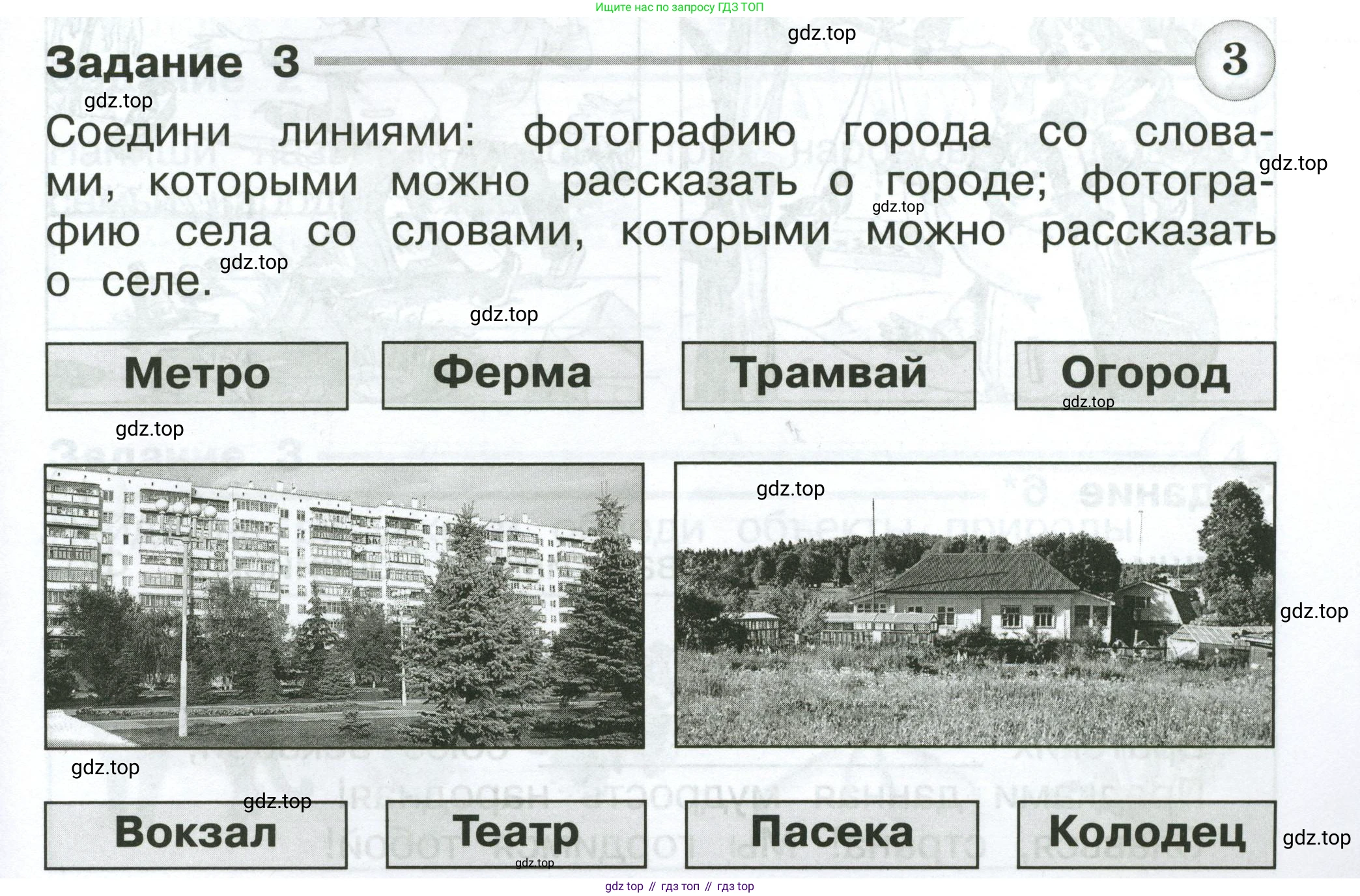Окружающий мир, 2 класс Проверочные работы, авторы: Плешаков Андрей Анатольевич, Плешаков С А, издательство Просвещение, Москва, 2023, белого цвета, страница 17, номер 3, Условие