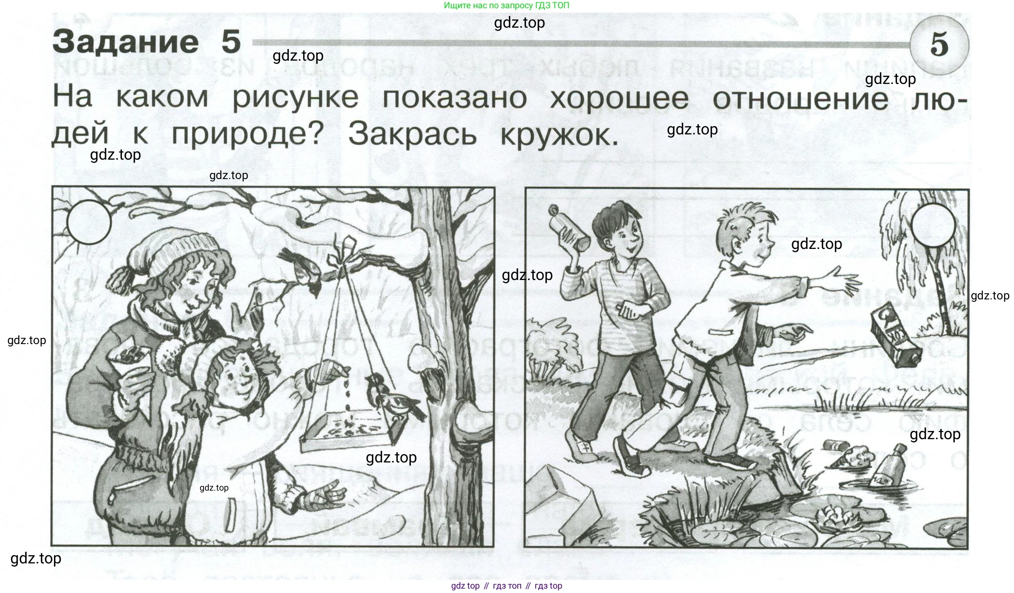 Окружающий мир, 2 класс Проверочные работы, авторы: Плешаков Андрей Анатольевич, Плешаков С А, издательство Просвещение, Москва, 2023, белого цвета, страница 18, номер 5, Условие