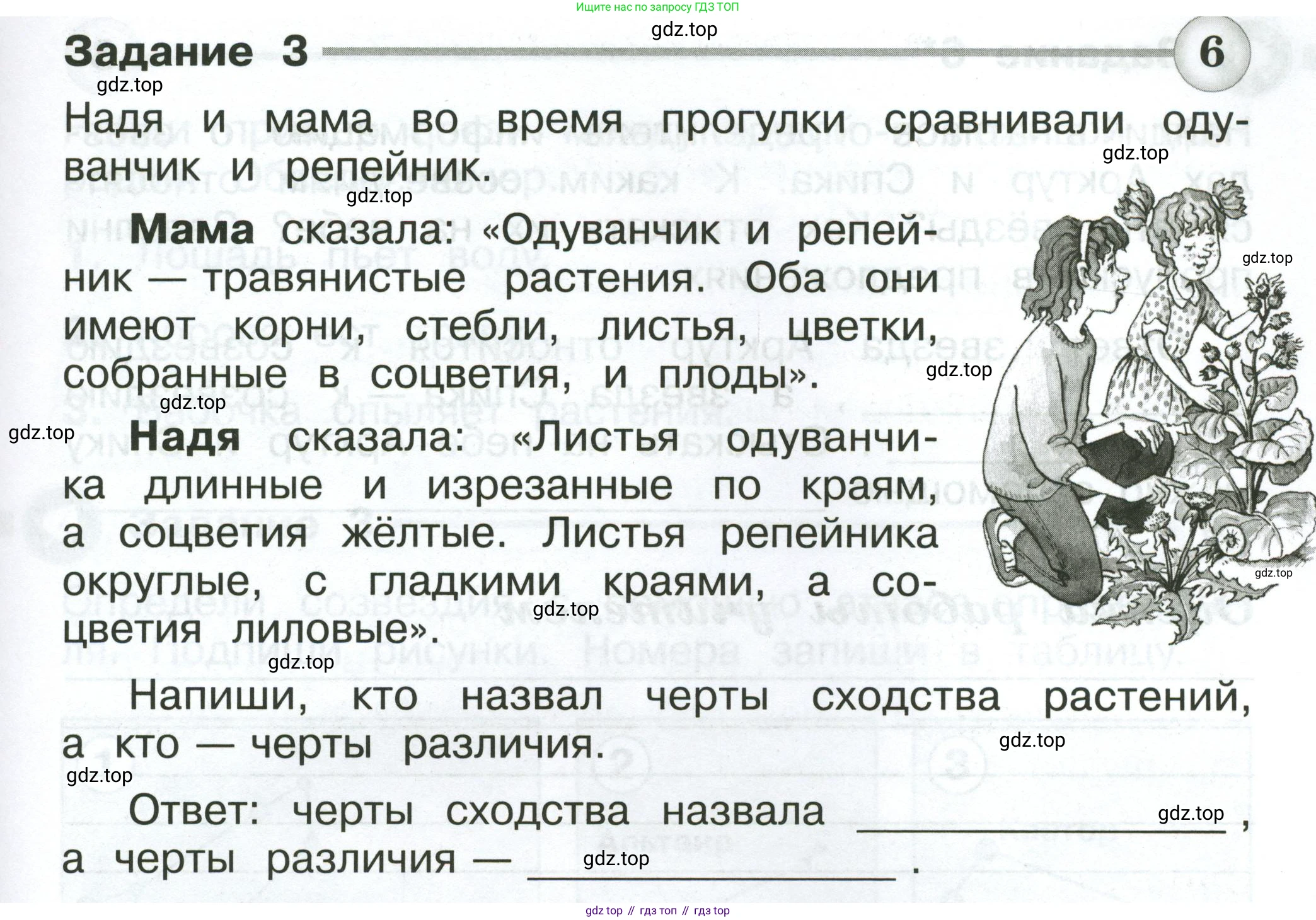 Окружающий мир, 2 класс Проверочные работы, авторы: Плешаков Андрей Анатольевич, Плешаков С А, издательство Просвещение, Москва, 2023, белого цвета, страница 25, номер 3, Условие