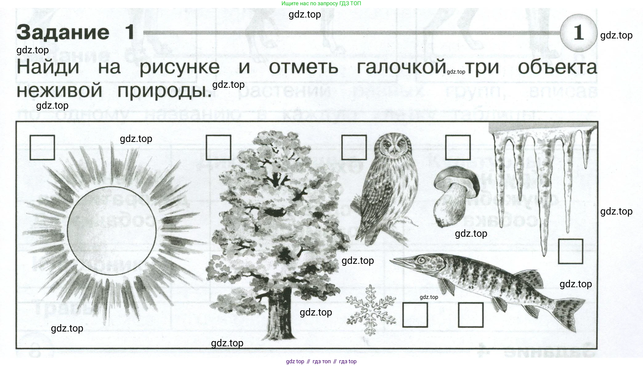 Окружающий мир, 2 класс Проверочные работы, авторы: Плешаков Андрей Анатольевич, Плешаков С А, издательство Просвещение, Москва, 2023, белого цвета, страница 29, номер 1, Условие