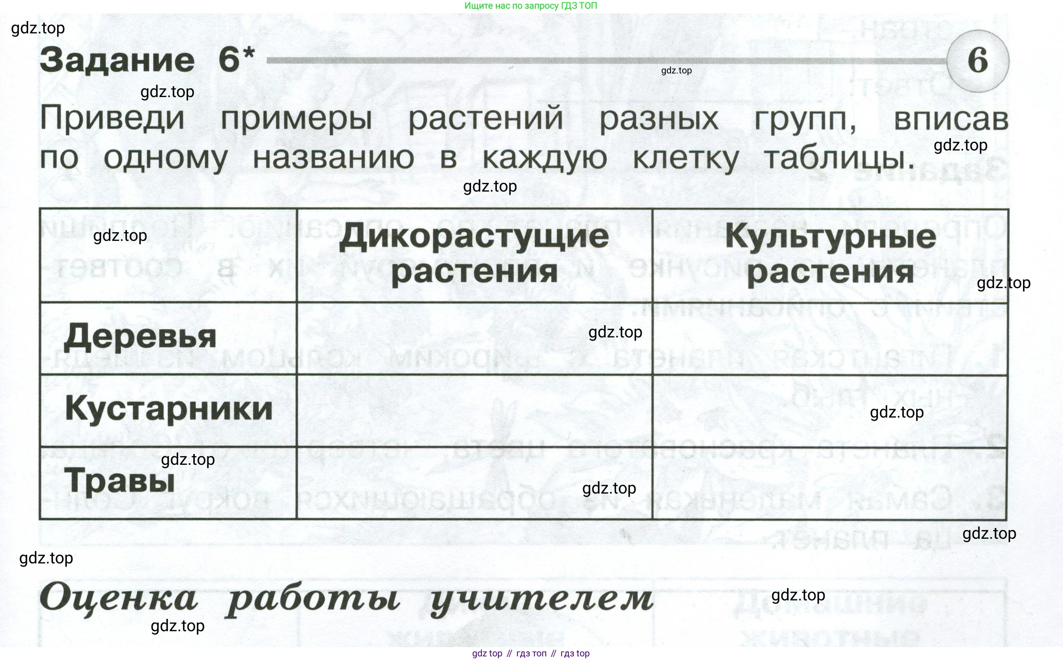 Окружающий мир, 2 класс Проверочные работы, авторы: Плешаков Андрей Анатольевич, Плешаков С А, издательство Просвещение, Москва, 2023, белого цвета, страница 31, номер 6, Условие