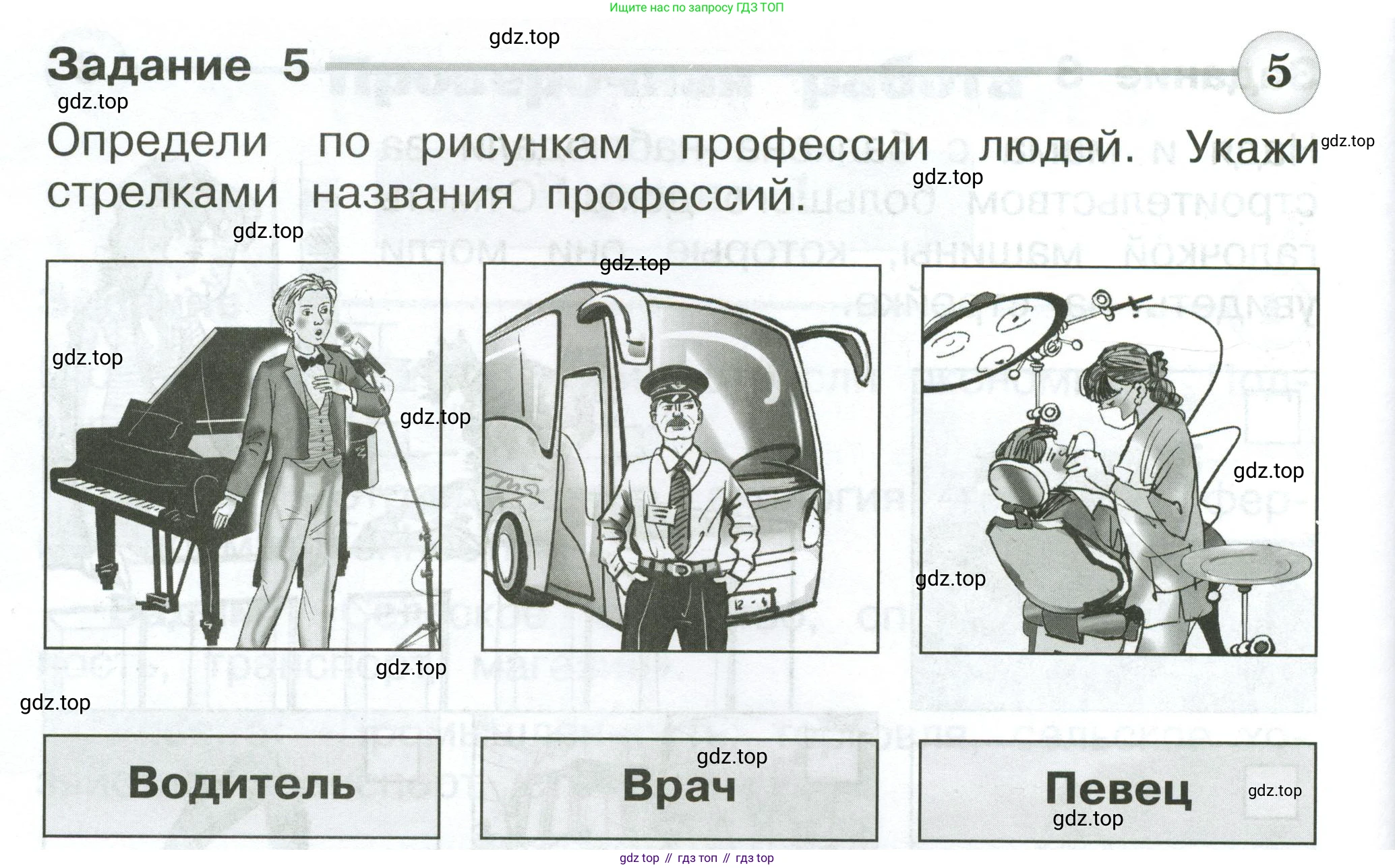 Окружающий мир, 2 класс Проверочные работы, авторы: Плешаков Андрей Анатольевич, Плешаков С А, издательство Просвещение, Москва, 2023, белого цвета, страница 38, номер 5, Условие
