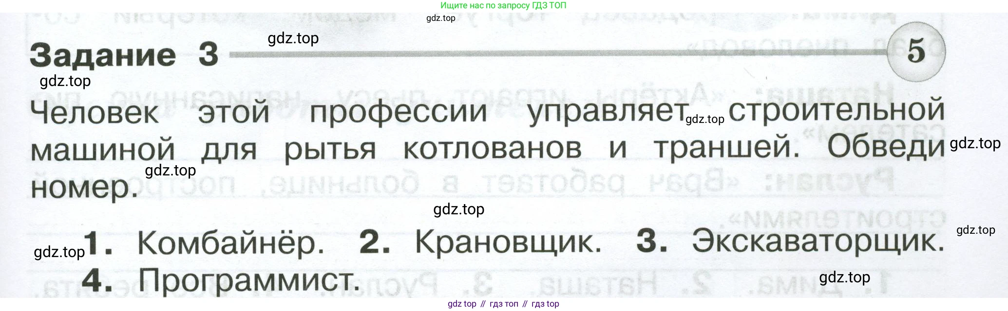 Окружающий мир, 2 класс Проверочные работы, авторы: Плешаков Андрей Анатольевич, Плешаков С А, издательство Просвещение, Москва, 2023, белого цвета, страница 39, номер 3, Условие