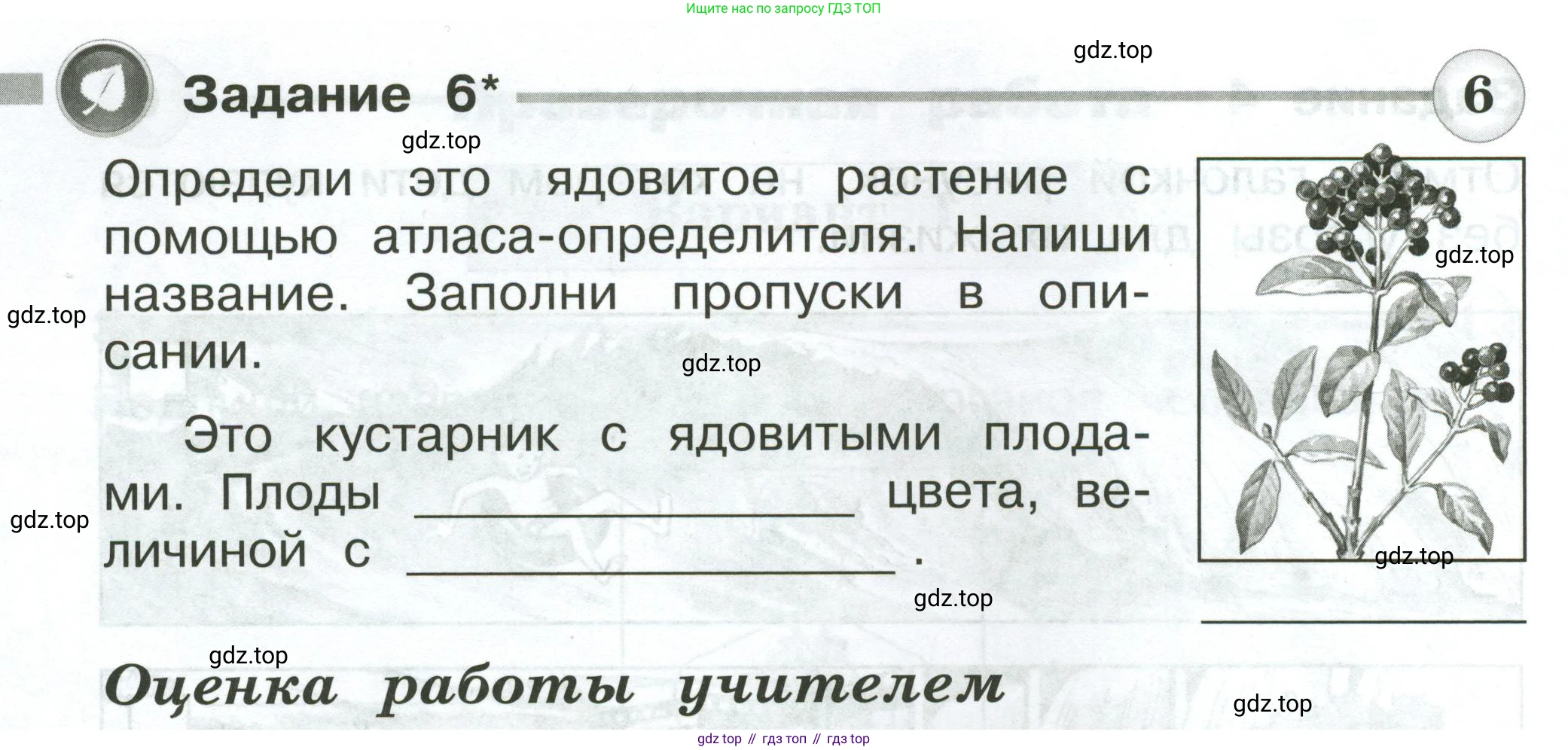 Окружающий мир, 2 класс Проверочные работы, авторы: Плешаков Андрей Анатольевич, Плешаков С А, издательство Просвещение, Москва, 2023, белого цвета, страница 52, номер 6, Условие