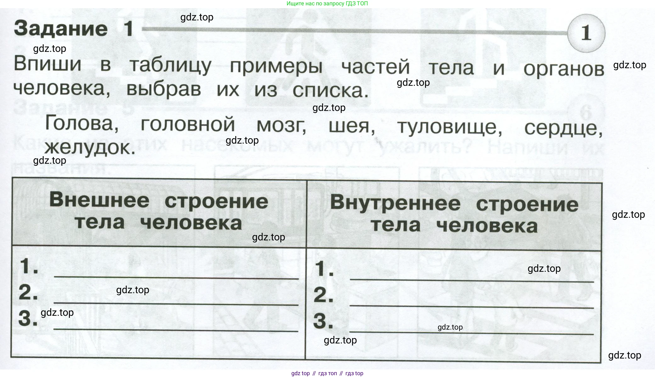 Окружающий мир, 2 класс Проверочные работы, авторы: Плешаков Андрей Анатольевич, Плешаков С А, издательство Просвещение, Москва, 2023, белого цвета, страница 57, номер 1, Условие