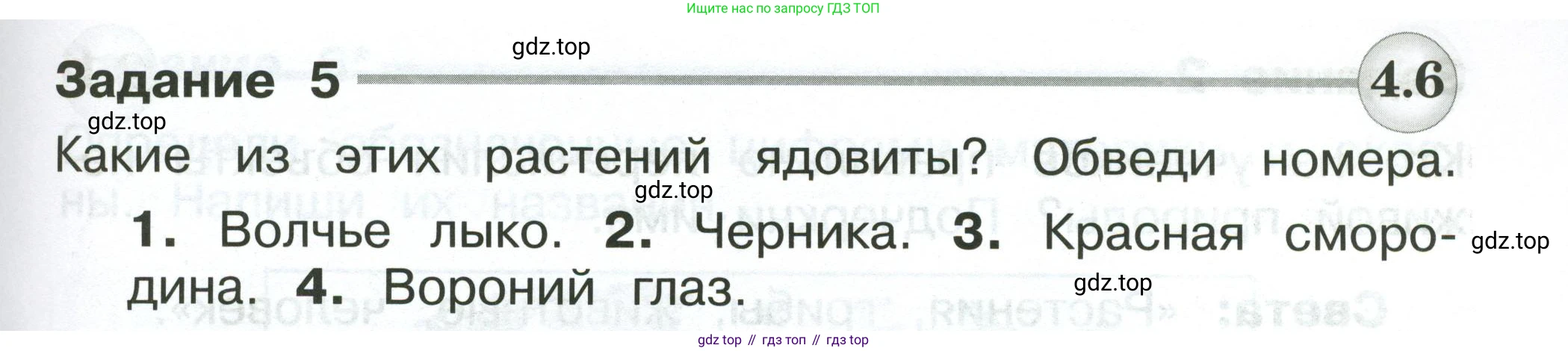 Окружающий мир, 2 класс Проверочные работы, авторы: Плешаков Андрей Анатольевич, Плешаков С А, издательство Просвещение, Москва, 2023, белого цвета, страница 87, номер 5, Условие