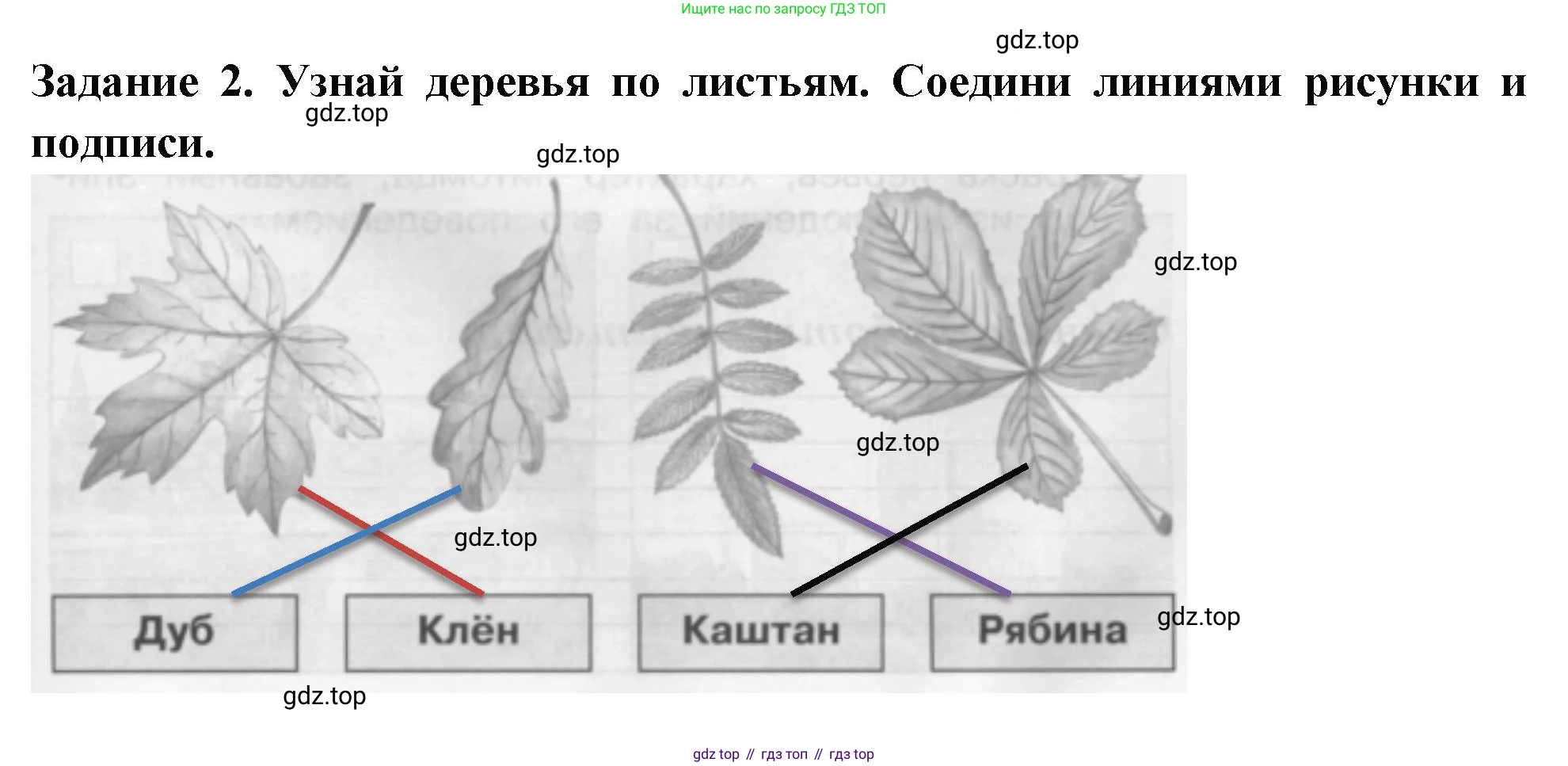 Окружающий мир, 2 класс Проверочные работы, авторы: Плешаков Андрей Анатольевич, Плешаков С А, издательство Просвещение, Москва, 2023, белого цвета, страница 3, номер 2, Решение