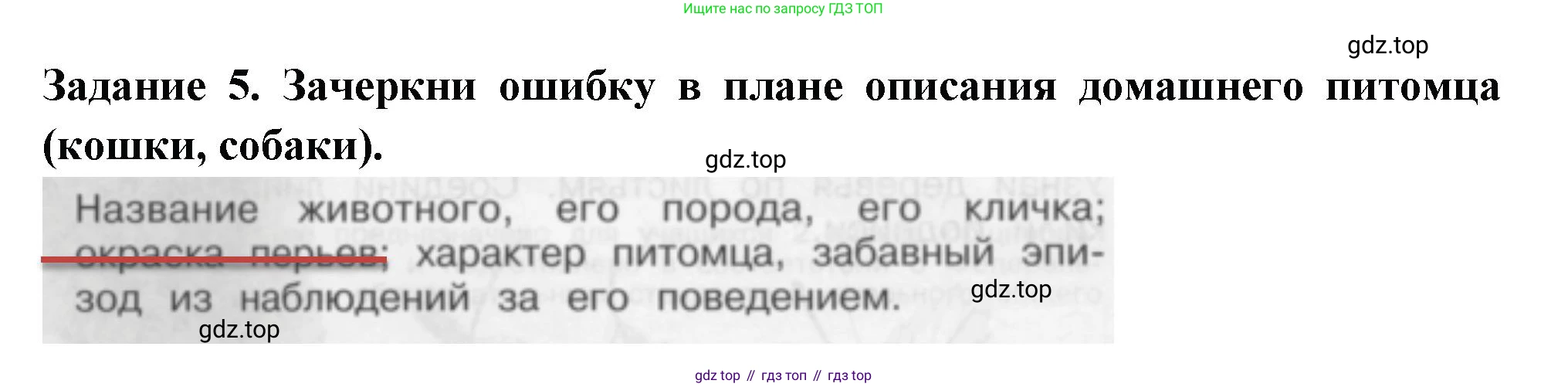 Окружающий мир, 2 класс Проверочные работы, авторы: Плешаков Андрей Анатольевич, Плешаков С А, издательство Просвещение, Москва, 2023, белого цвета, страница 4, номер 5, Решение
