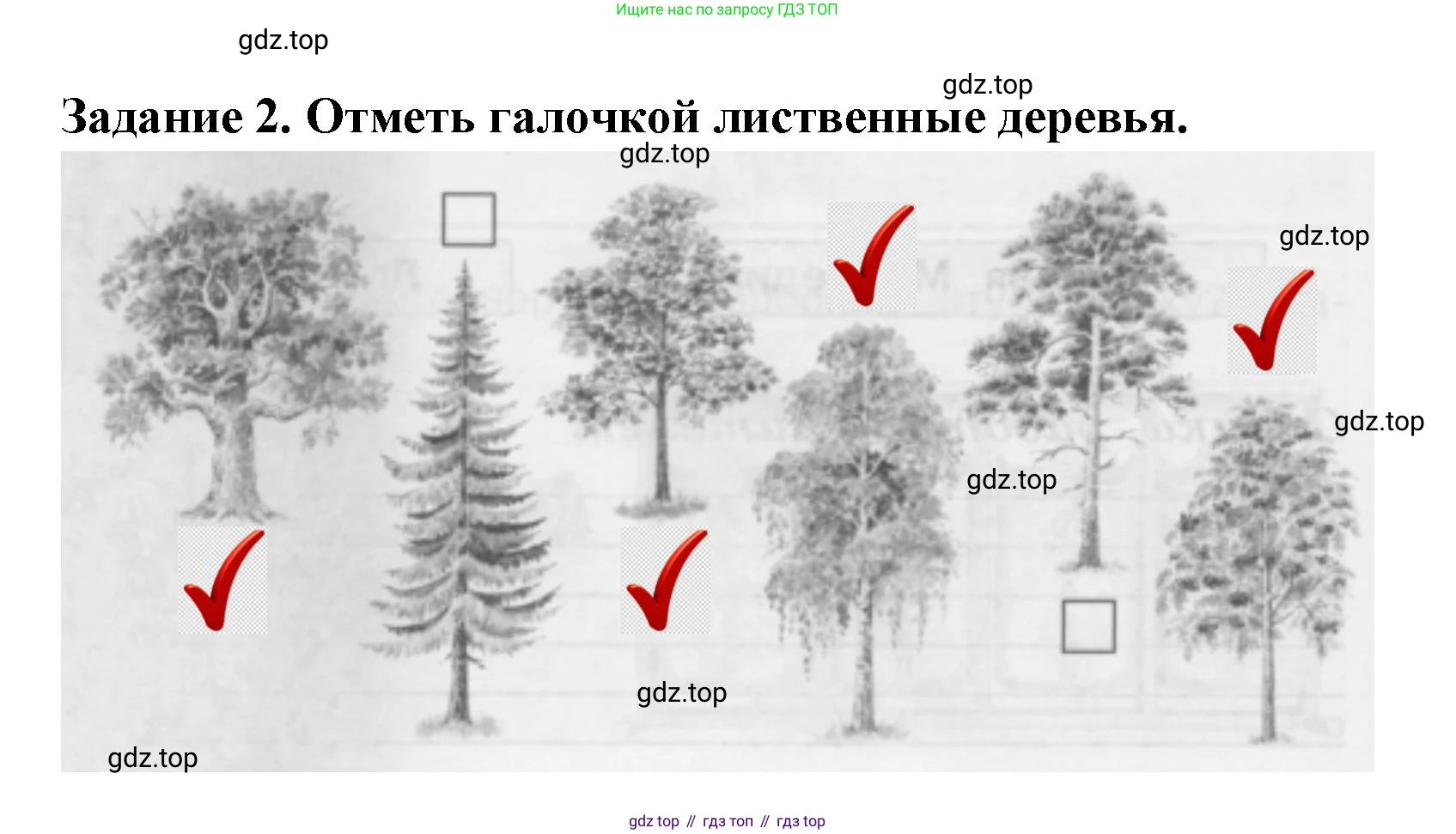 Окружающий мир, 2 класс Проверочные работы, авторы: Плешаков Андрей Анатольевич, Плешаков С А, издательство Просвещение, Москва, 2023, белого цвета, страница 8, номер 2, Решение