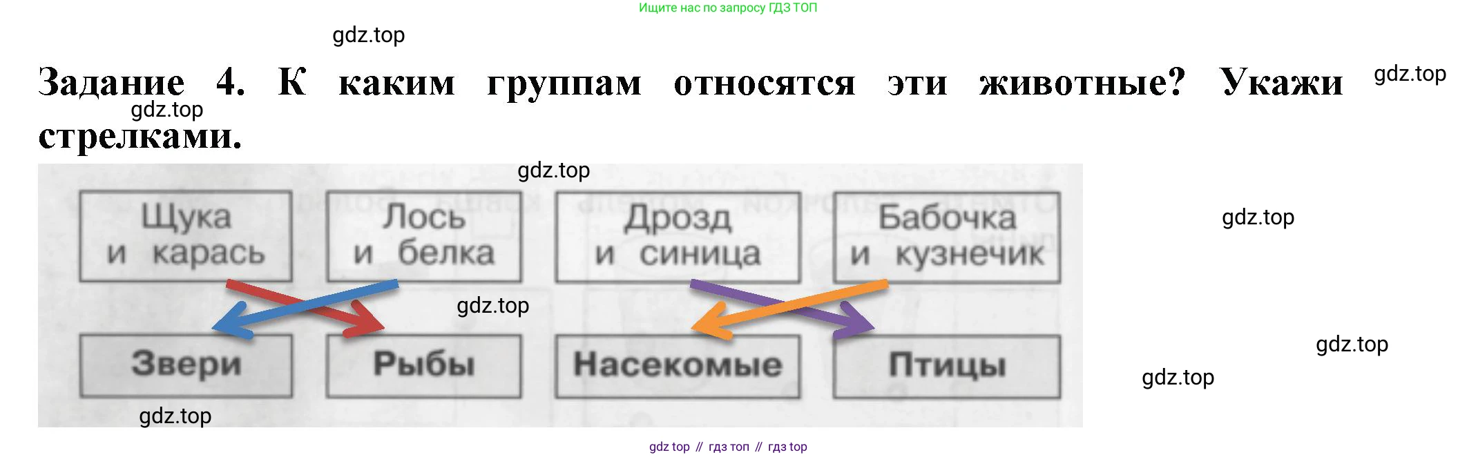 Окружающий мир, 2 класс Проверочные работы, авторы: Плешаков Андрей Анатольевич, Плешаков С А, издательство Просвещение, Москва, 2023, белого цвета, страница 12, номер 4, Решение