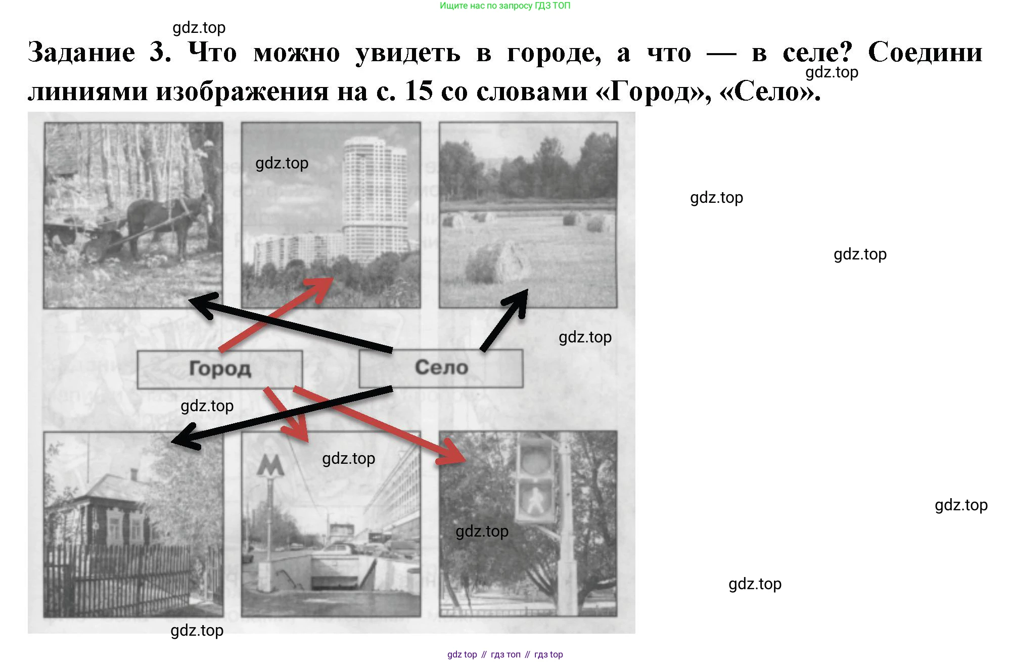 Окружающий мир, 2 класс Проверочные работы, авторы: Плешаков Андрей Анатольевич, Плешаков С А, издательство Просвещение, Москва, 2023, белого цвета, страница 14, номер 3, Решение