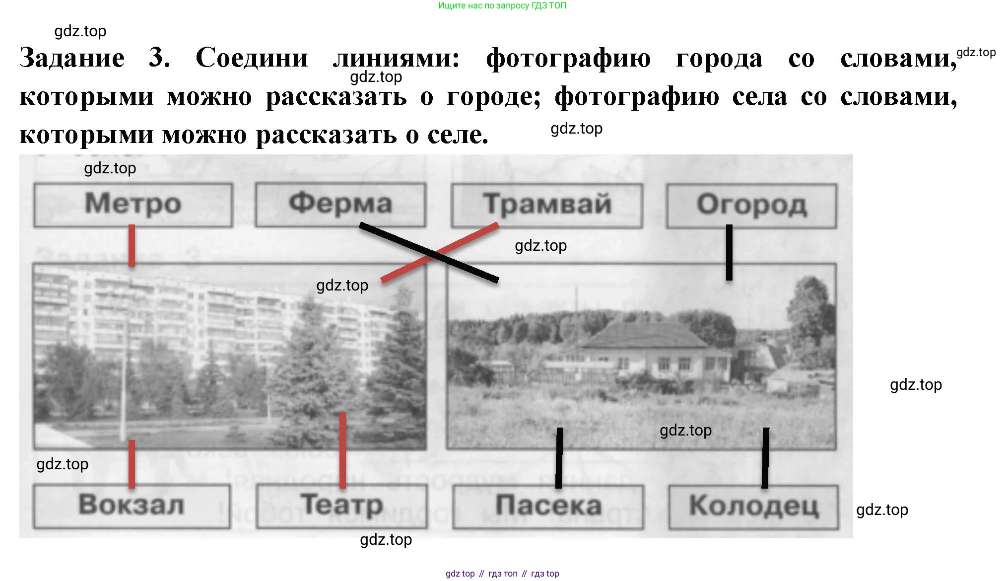 Окружающий мир, 2 класс Проверочные работы, авторы: Плешаков Андрей Анатольевич, Плешаков С А, издательство Просвещение, Москва, 2023, белого цвета, страница 17, номер 3, Решение