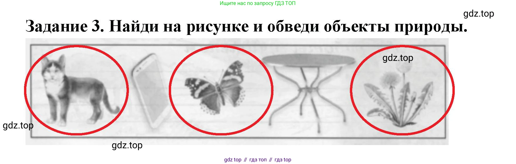 Окружающий мир, 2 класс Проверочные работы, авторы: Плешаков Андрей Анатольевич, Плешаков С А, издательство Просвещение, Москва, 2023, белого цвета, страница 19, номер 3, Решение
