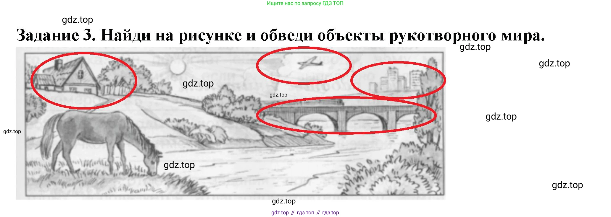 Окружающий мир, 2 класс Проверочные работы, авторы: Плешаков Андрей Анатольевич, Плешаков С А, издательство Просвещение, Москва, 2023, белого цвета, страница 21, номер 3, Решение