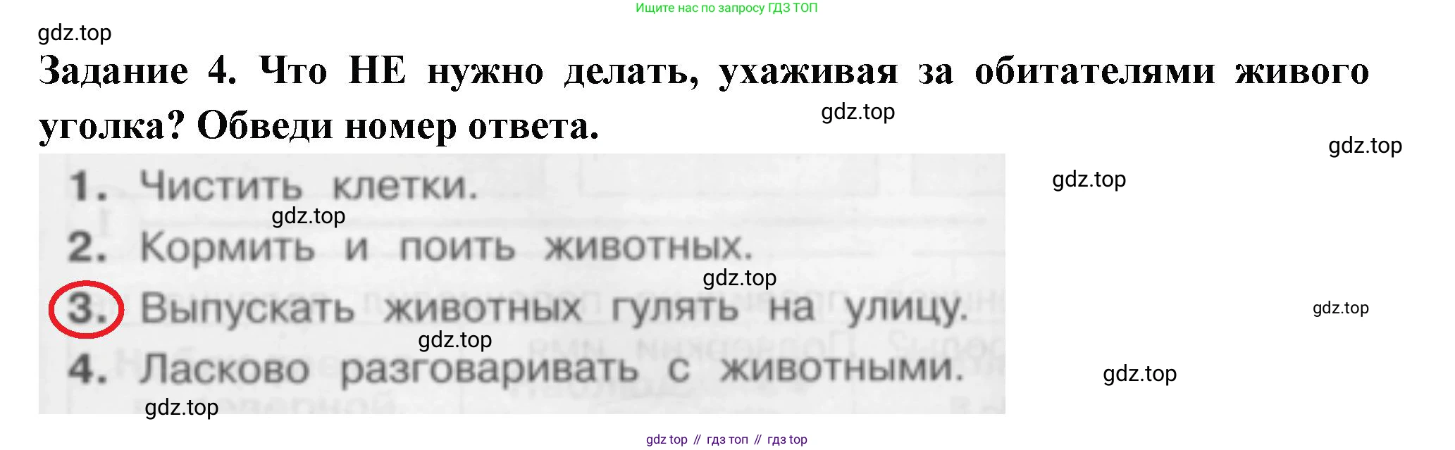 Окружающий мир, 2 класс Проверочные работы, авторы: Плешаков Андрей Анатольевич, Плешаков С А, издательство Просвещение, Москва, 2023, белого цвета, страница 25, номер 4, Решение
