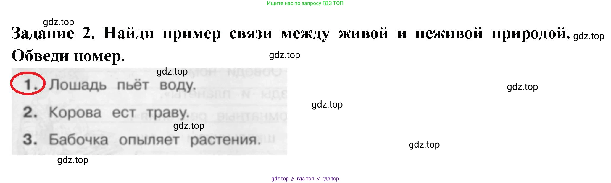 Окружающий мир, 2 класс Проверочные работы, авторы: Плешаков Андрей Анатольевич, Плешаков С А, издательство Просвещение, Москва, 2023, белого цвета, страница 27, номер 2, Решение