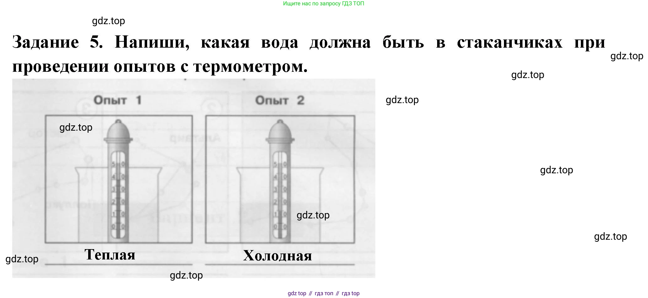 Окружающий мир, 2 класс Проверочные работы, авторы: Плешаков Андрей Анатольевич, Плешаков С А, издательство Просвещение, Москва, 2023, белого цвета, страница 28, номер 5, Решение
