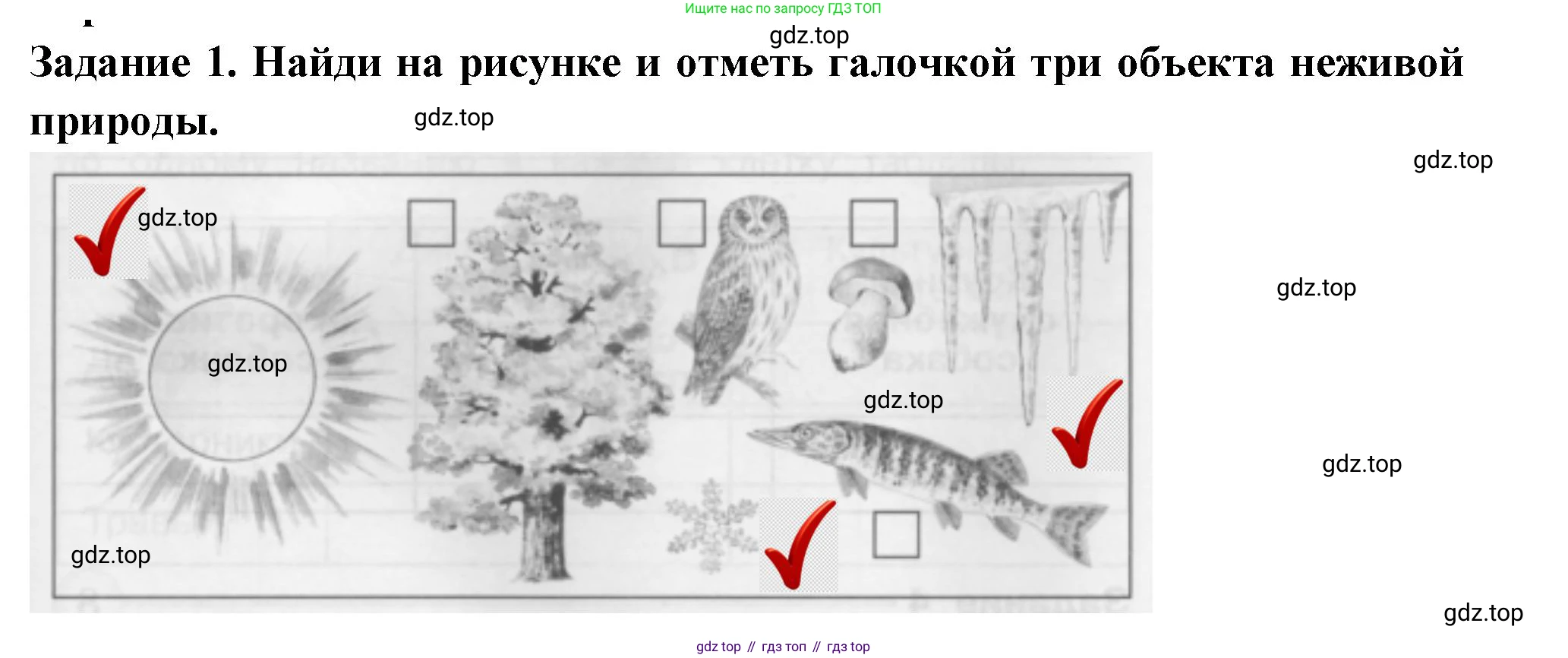 Окружающий мир, 2 класс Проверочные работы, авторы: Плешаков Андрей Анатольевич, Плешаков С А, издательство Просвещение, Москва, 2023, белого цвета, страница 29, номер 1, Решение