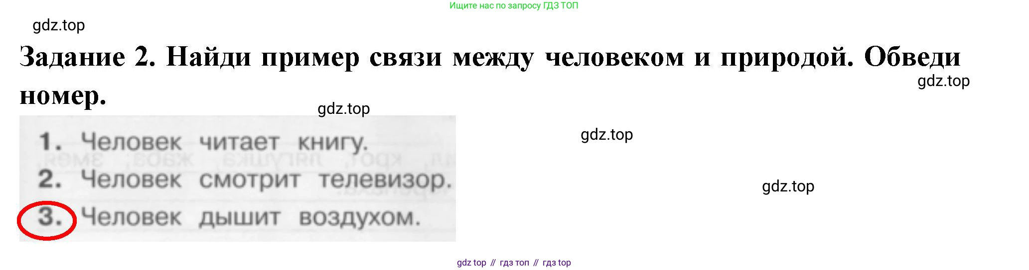Окружающий мир, 2 класс Проверочные работы, авторы: Плешаков Андрей Анатольевич, Плешаков С А, издательство Просвещение, Москва, 2023, белого цвета, страница 29, номер 2, Решение