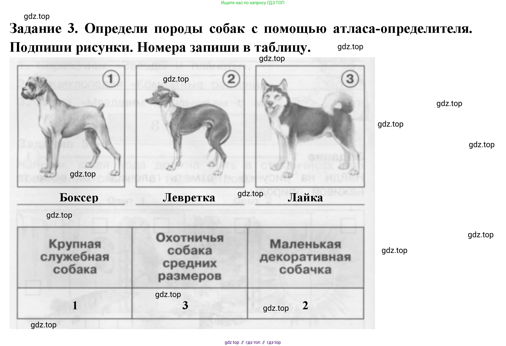 Окружающий мир, 2 класс Проверочные работы, авторы: Плешаков Андрей Анатольевич, Плешаков С А, издательство Просвещение, Москва, 2023, белого цвета, страница 30, номер 3, Решение