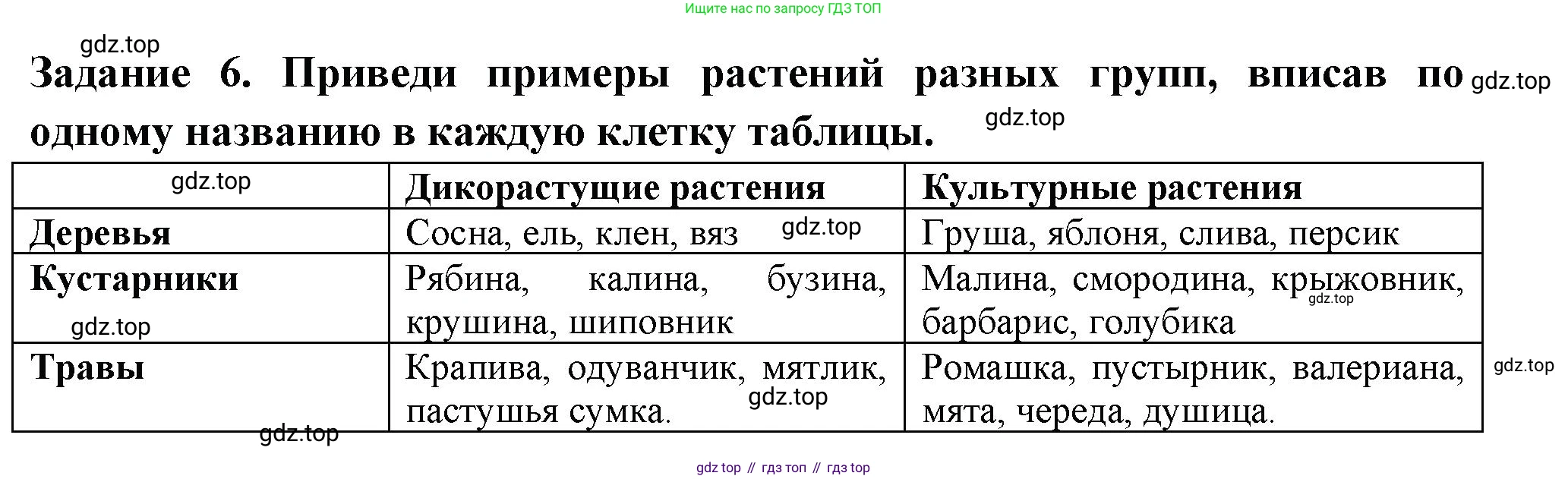 Окружающий мир, 2 класс Проверочные работы, авторы: Плешаков Андрей Анатольевич, Плешаков С А, издательство Просвещение, Москва, 2023, белого цвета, страница 31, номер 6, Решение
