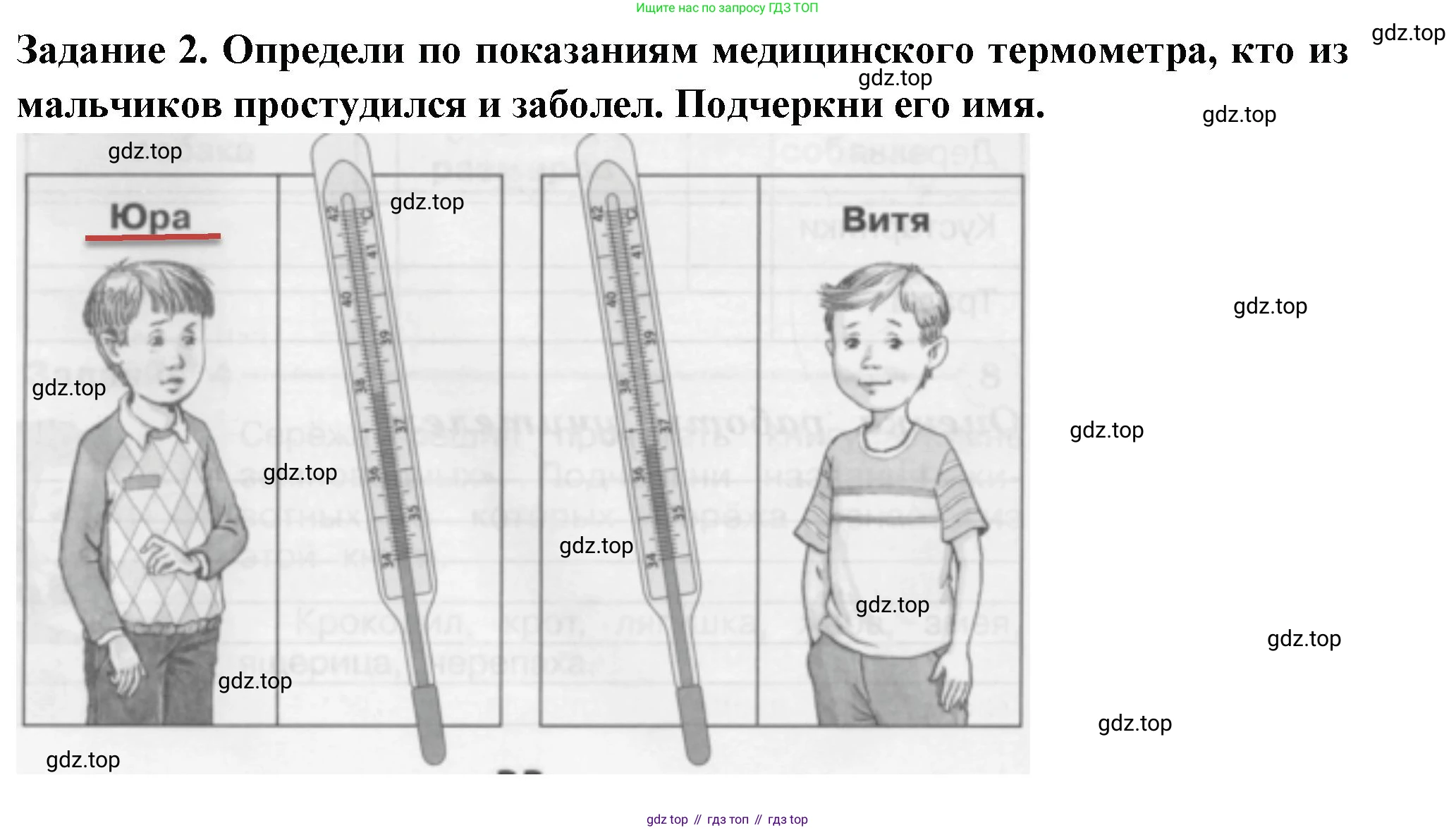 Окружающий мир, 2 класс Проверочные работы, авторы: Плешаков Андрей Анатольевич, Плешаков С А, издательство Просвещение, Москва, 2023, белого цвета, страница 32, номер 2, Решение