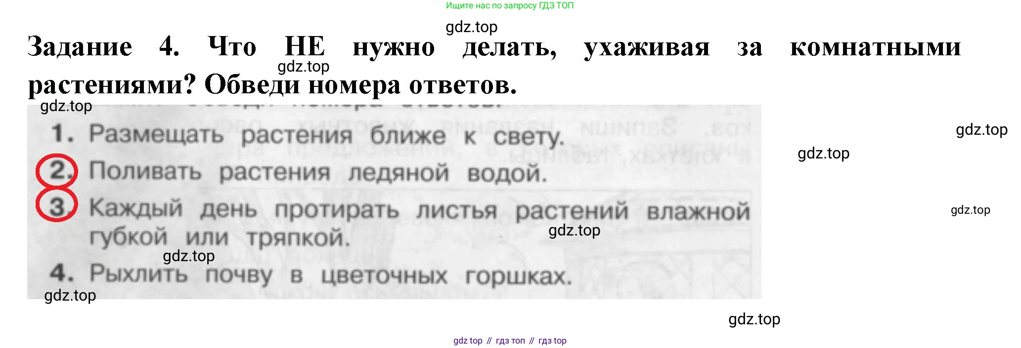 Окружающий мир, 2 класс Проверочные работы, авторы: Плешаков Андрей Анатольевич, Плешаков С А, издательство Просвещение, Москва, 2023, белого цвета, страница 34, номер 4, Решение