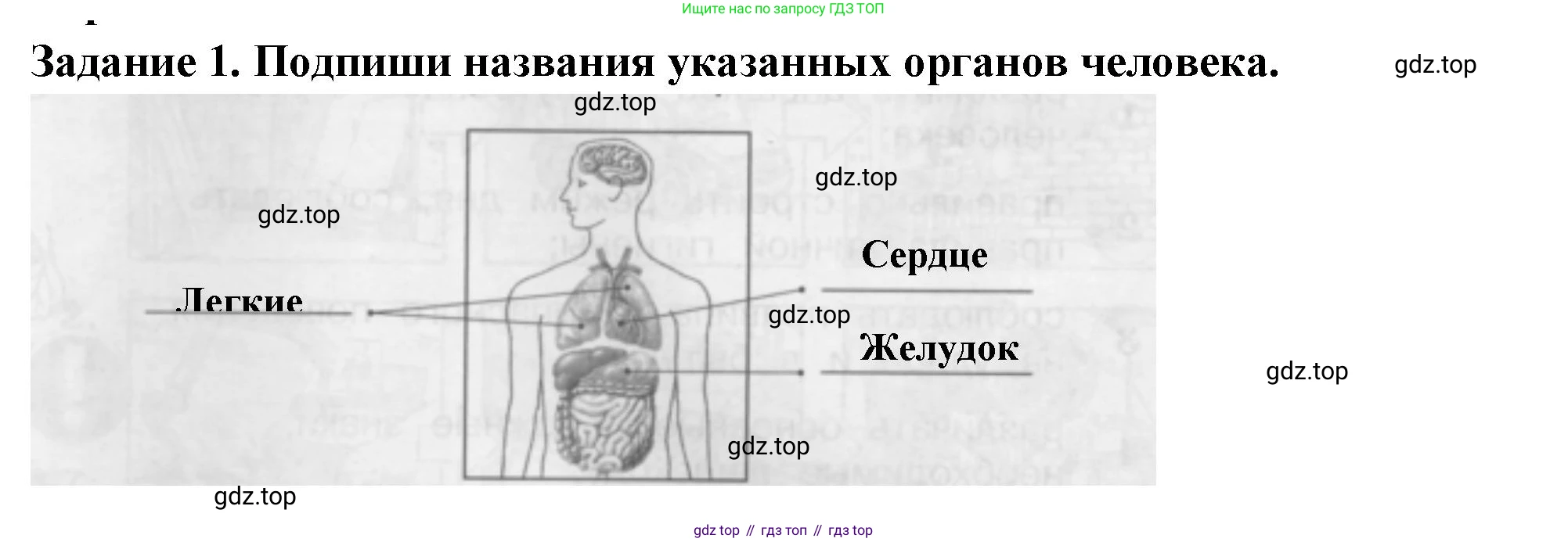 Окружающий мир, 2 класс Проверочные работы, авторы: Плешаков Андрей Анатольевич, Плешаков С А, издательство Просвещение, Москва, 2023, белого цвета, страница 50, номер 1, Решение