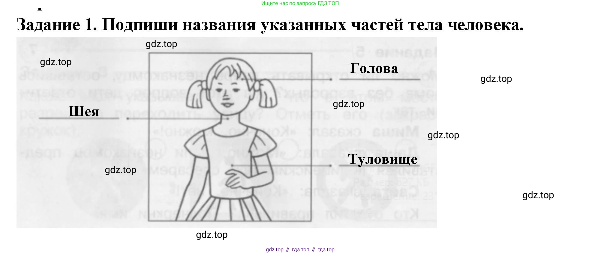 Окружающий мир, 2 класс Проверочные работы, авторы: Плешаков Андрей Анатольевич, Плешаков С А, издательство Просвещение, Москва, 2023, белого цвета, страница 52, номер 1, Решение
