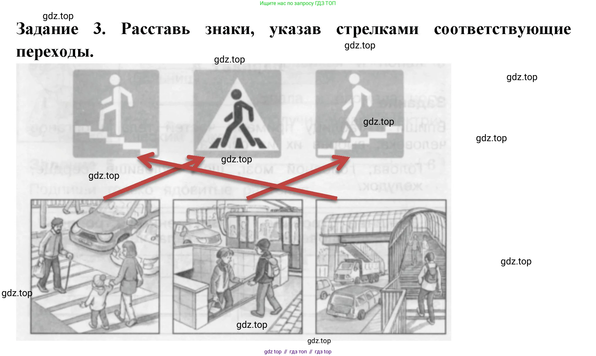 Окружающий мир, 2 класс Проверочные работы, авторы: Плешаков Андрей Анатольевич, Плешаков С А, издательство Просвещение, Москва, 2023, белого цвета, страница 58, номер 3, Решение