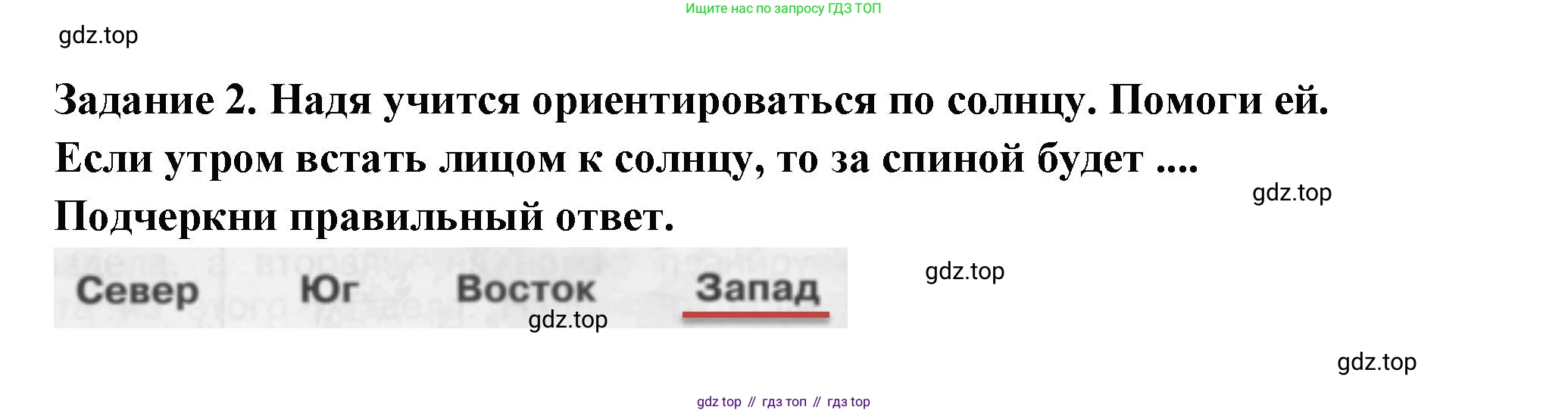 Окружающий мир, 2 класс Проверочные работы, авторы: Плешаков Андрей Анатольевич, Плешаков С А, издательство Просвещение, Москва, 2023, белого цвета, страница 81, номер 2, Решение