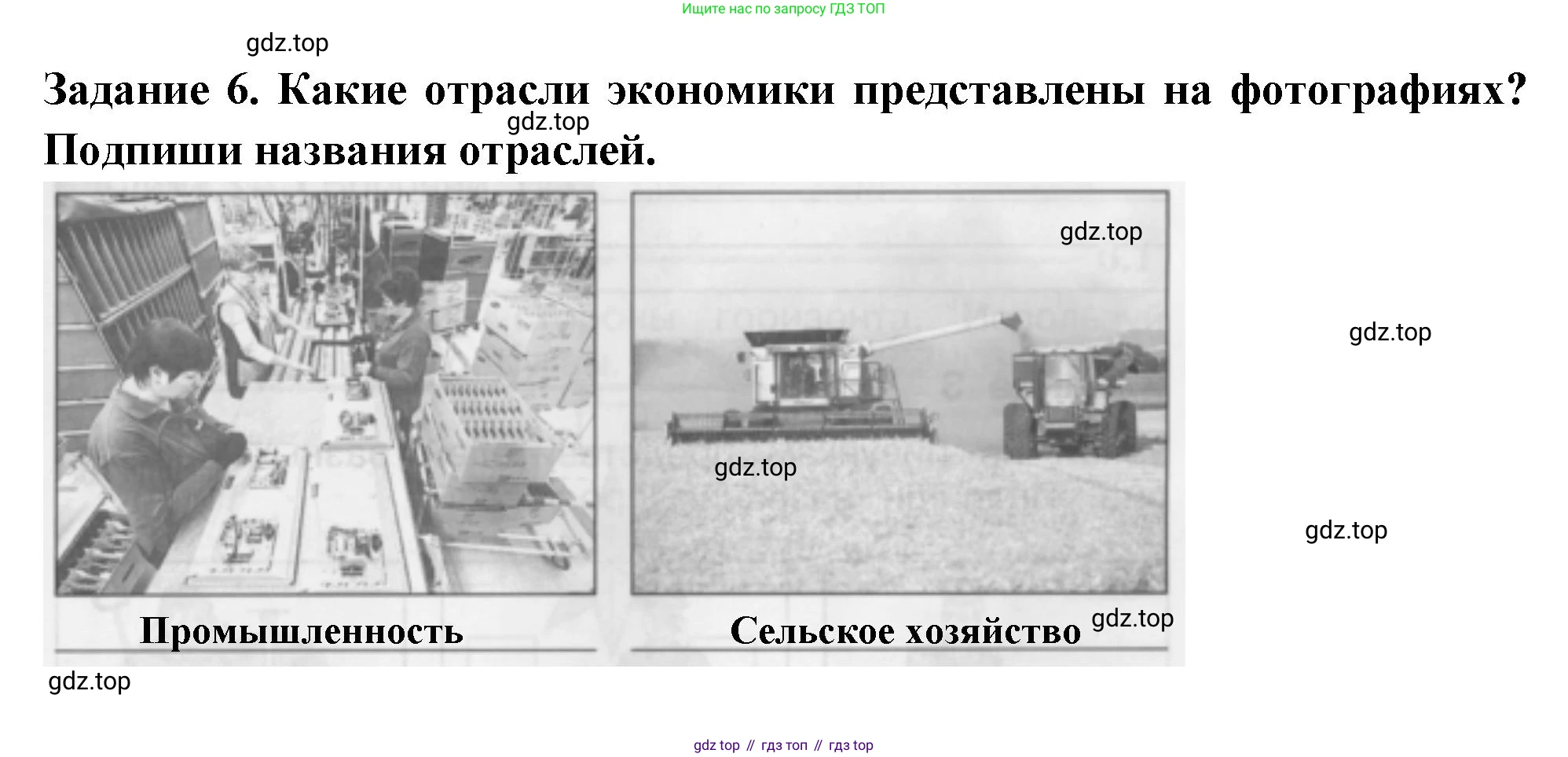 Окружающий мир, 2 класс Проверочные работы, авторы: Плешаков Андрей Анатольевич, Плешаков С А, издательство Просвещение, Москва, 2023, белого цвета, страница 85, номер 6, Решение