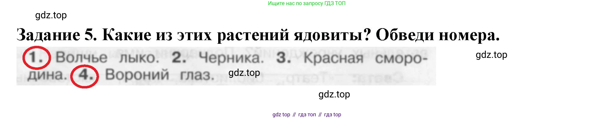 Окружающий мир, 2 класс Проверочные работы, авторы: Плешаков Андрей Анатольевич, Плешаков С А, издательство Просвещение, Москва, 2023, белого цвета, страница 87, номер 5, Решение