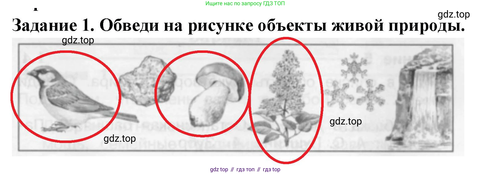 Окружающий мир, 2 класс Проверочные работы, авторы: Плешаков Андрей Анатольевич, Плешаков С А, издательство Просвещение, Москва, 2023, белого цвета, страница 87, номер 1, Решение