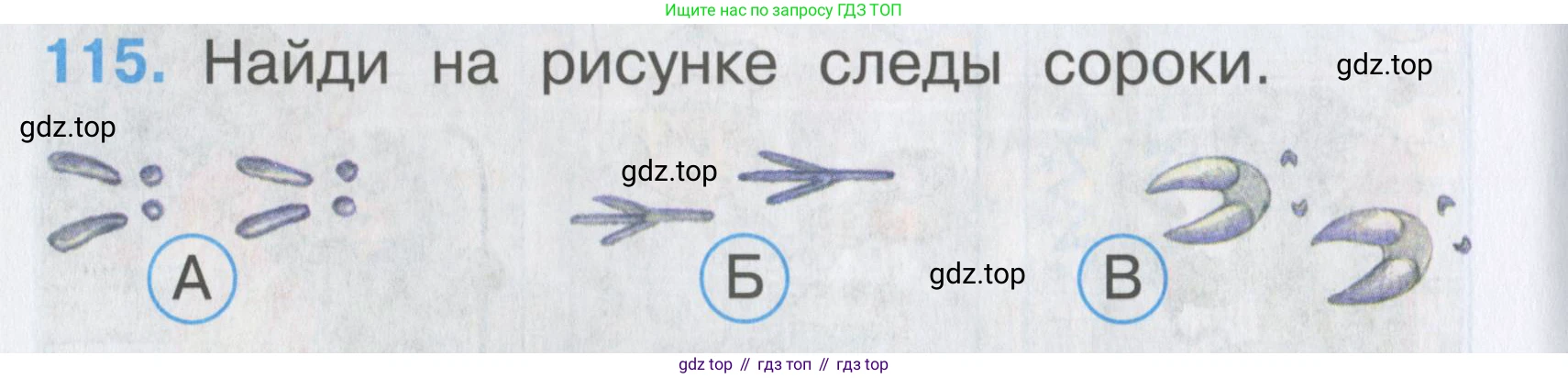 ГДЗ Окружающий мир, 2 класс Тесты, авторы: Плешаков Андрей Анатольевич, Гара Наталья Николаевна, Назарова З Д, издательство Просвещение, Москва, 2015, белого цвета, страница 42, номер 115, Условие